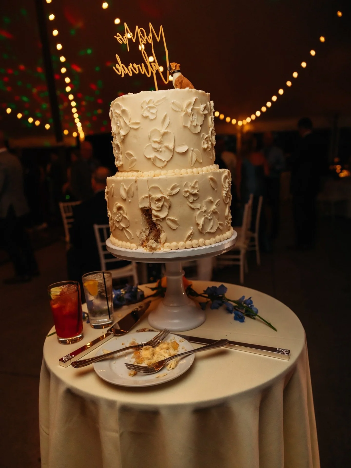 Here&rsquo;s to celebrating the end of 2025 and looking forward to whatever 2026 brings. I&rsquo;m looking forward to a year hopefully filled with new people, new places, and new stories. A year filled with inspiration from the unexpected. A year emb