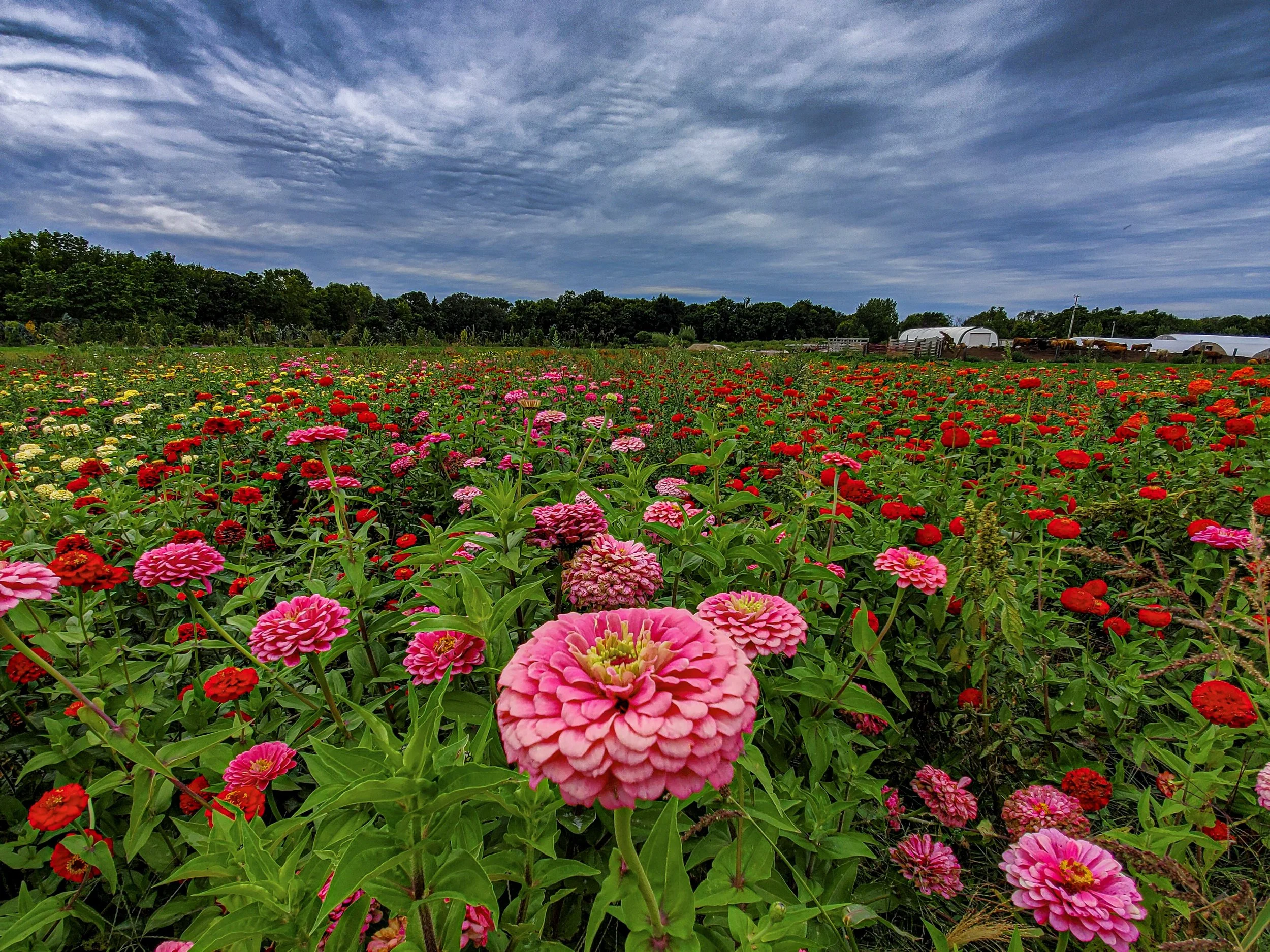 20190907_175627.jpg