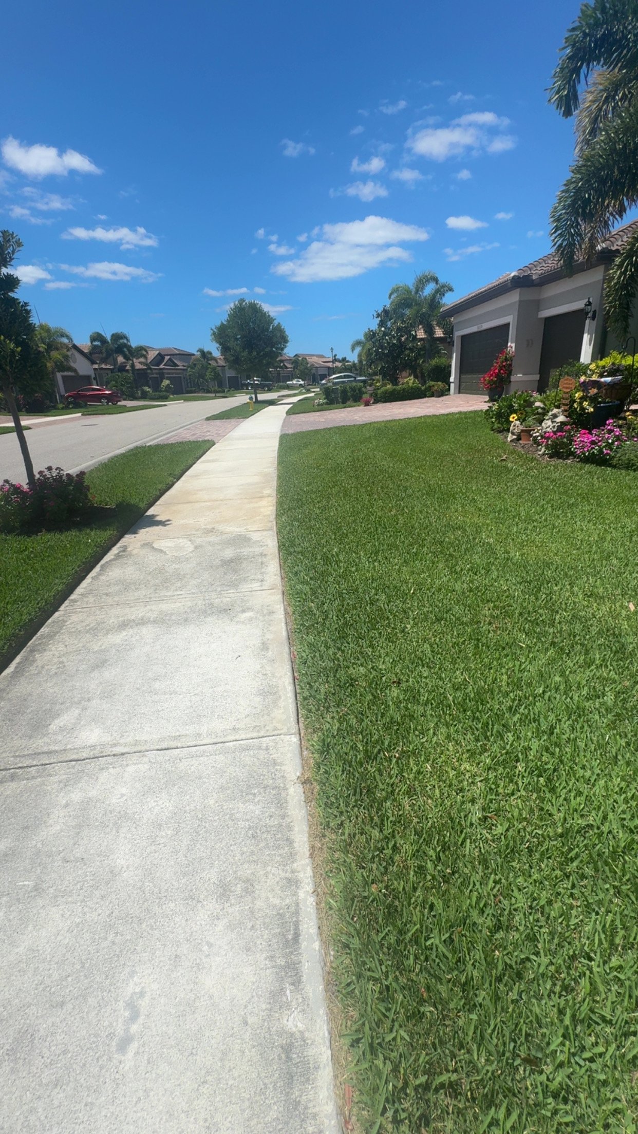 Lawn Mowing Schedule Florida |  How Often to Mow in North Port &amp; Port Charlotte