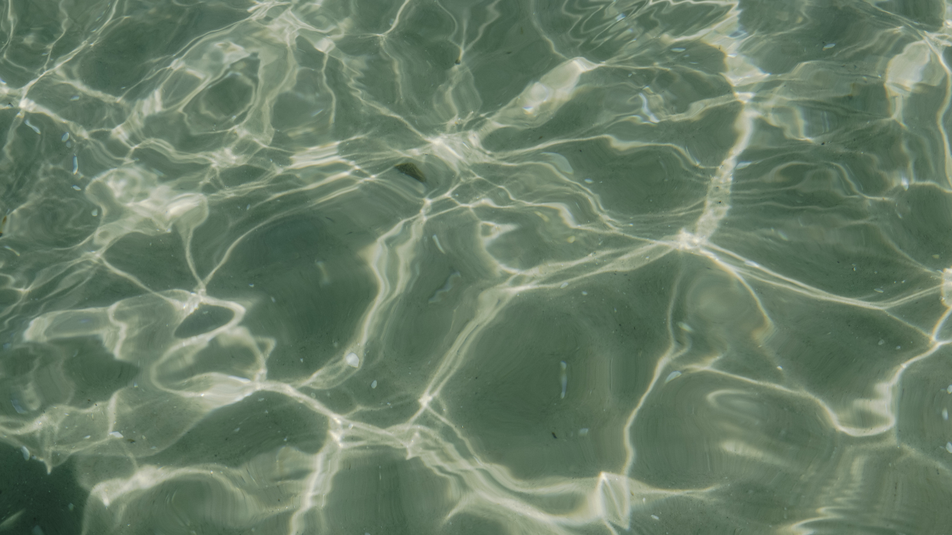 Psykedelisk terapi: Er det fremtidens helbredelse?