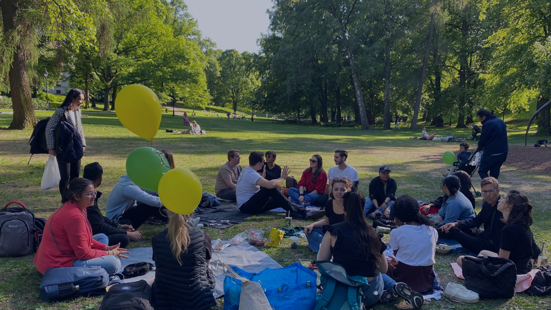 International Picnic in the Park