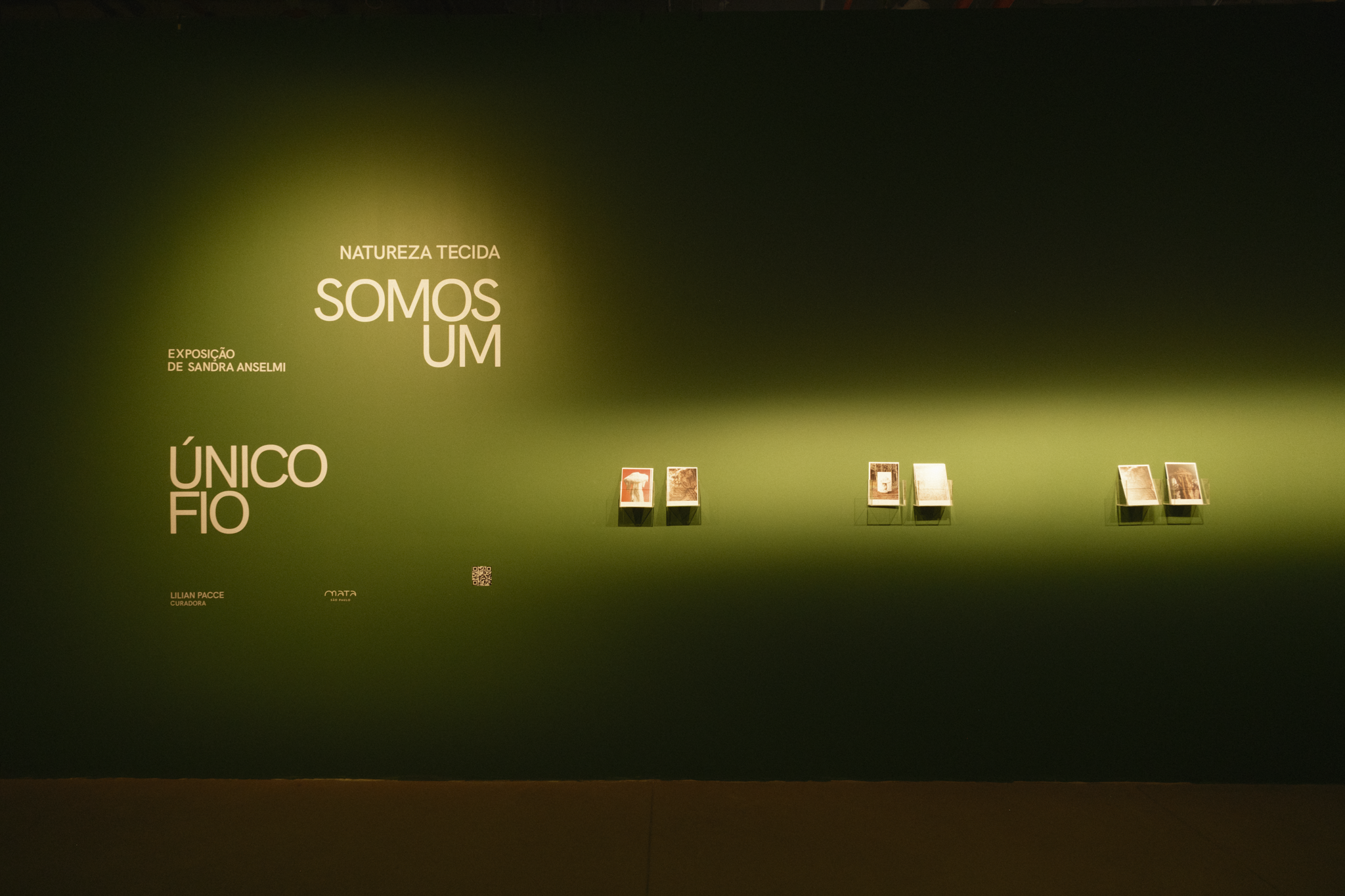 SomosUmUnicoFio_SandraAnselmi_F-3.png