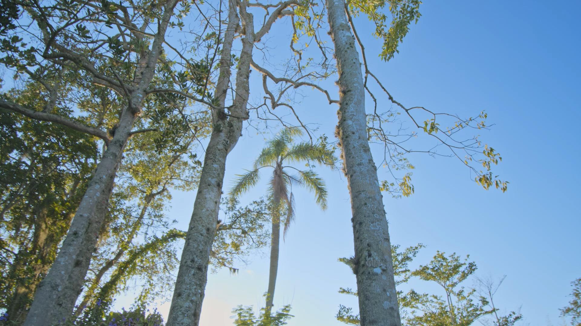 Still 2026-03-04 010656_1.1.1.png