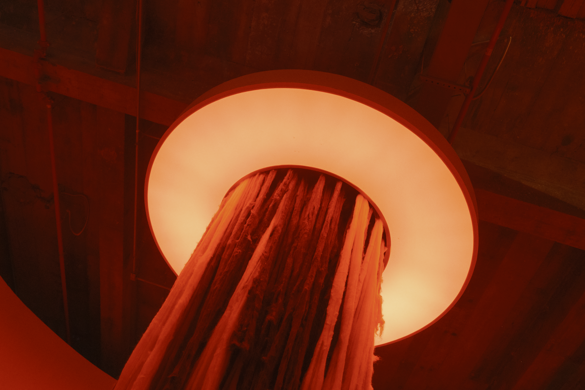 SomosUmUnicoFio_SandraAnselmi_lowF-31.png