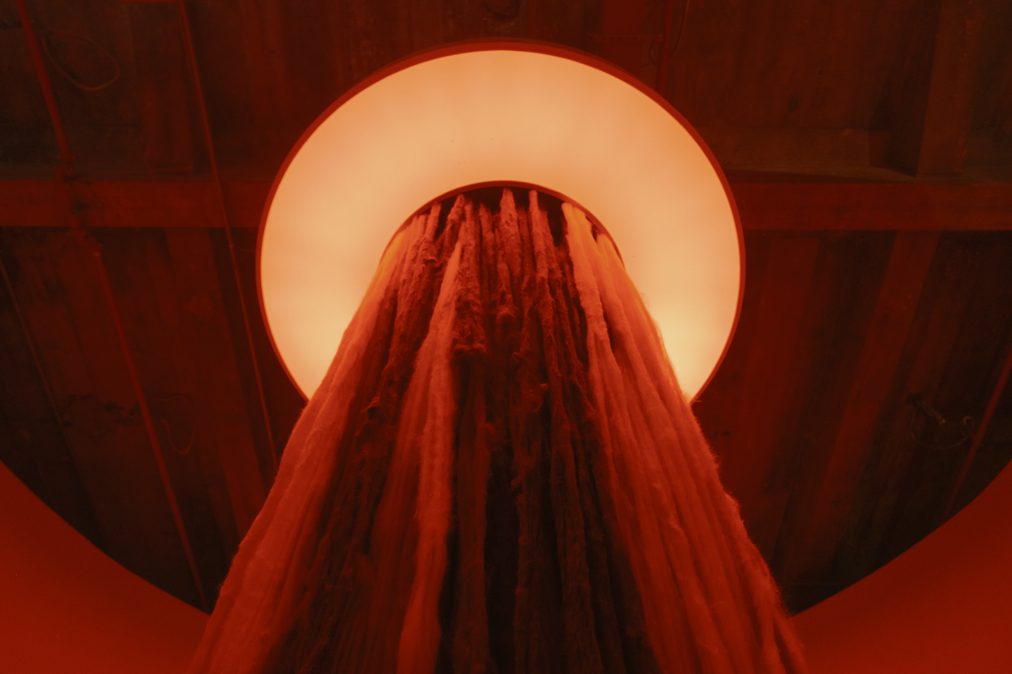 SomosUmUnicoFio_SandraAnselmi_lowF-30.png