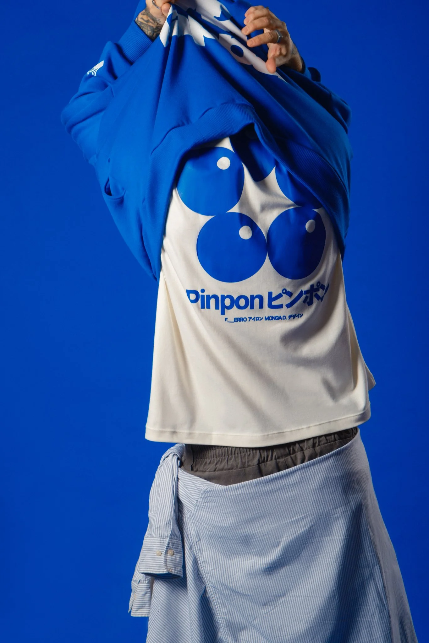 PINPON_lowF-100.jpg