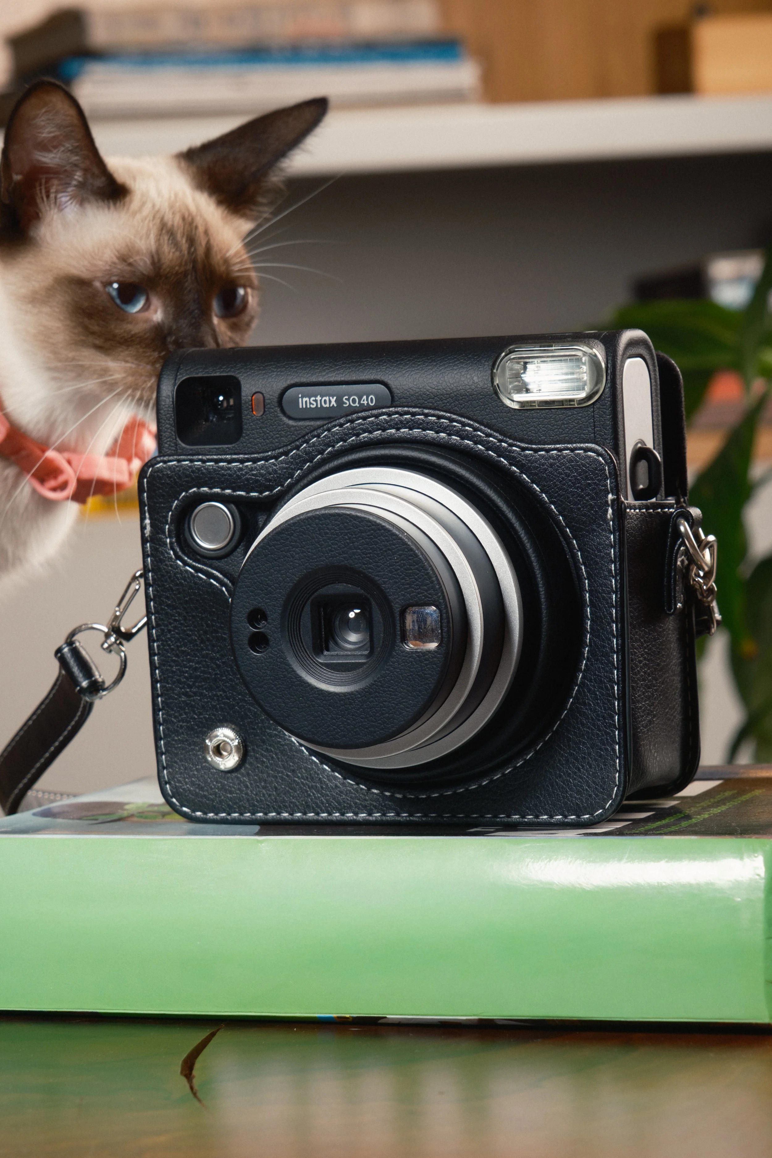 INSTAX_F-6.jpg
