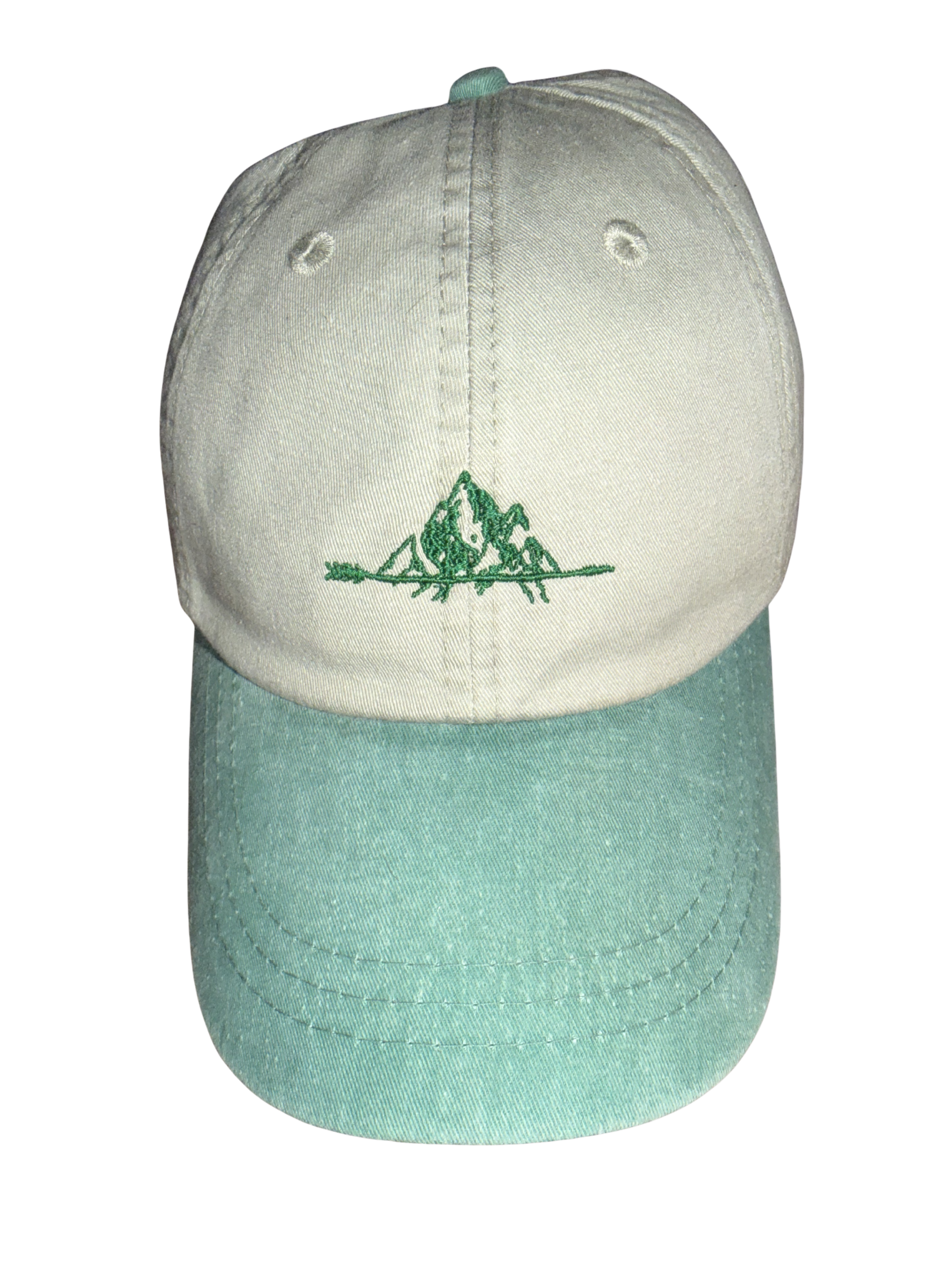 The Mountain Heritage Cap