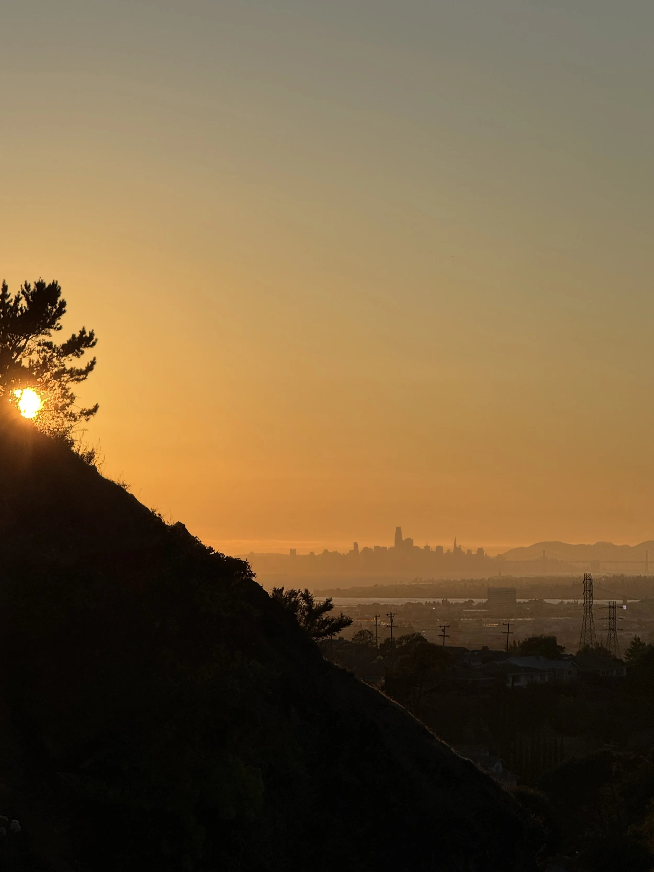 Sunset over a city skyline with silhouetted trees in the foreground and power lines.