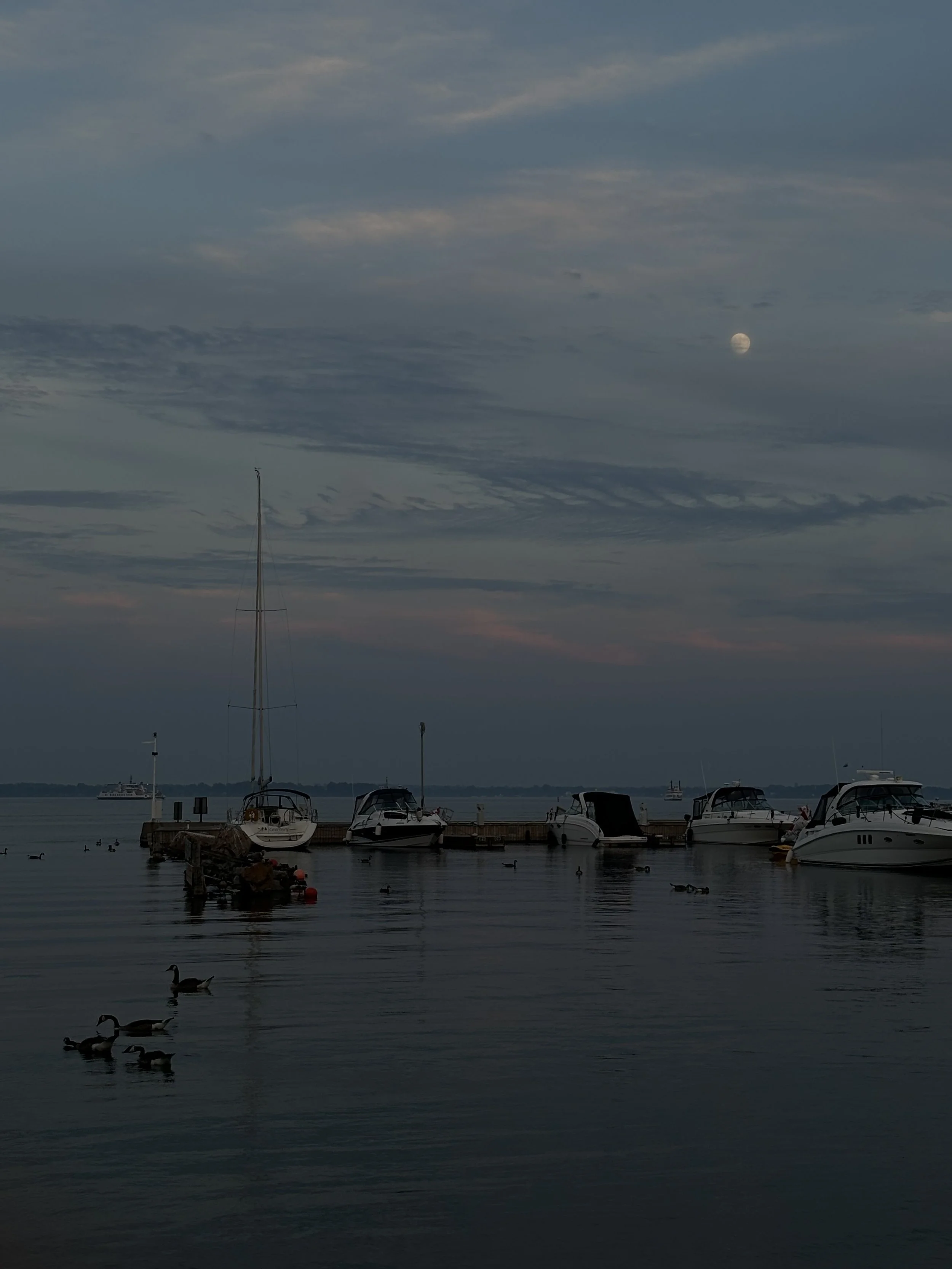 harbour.jpg
