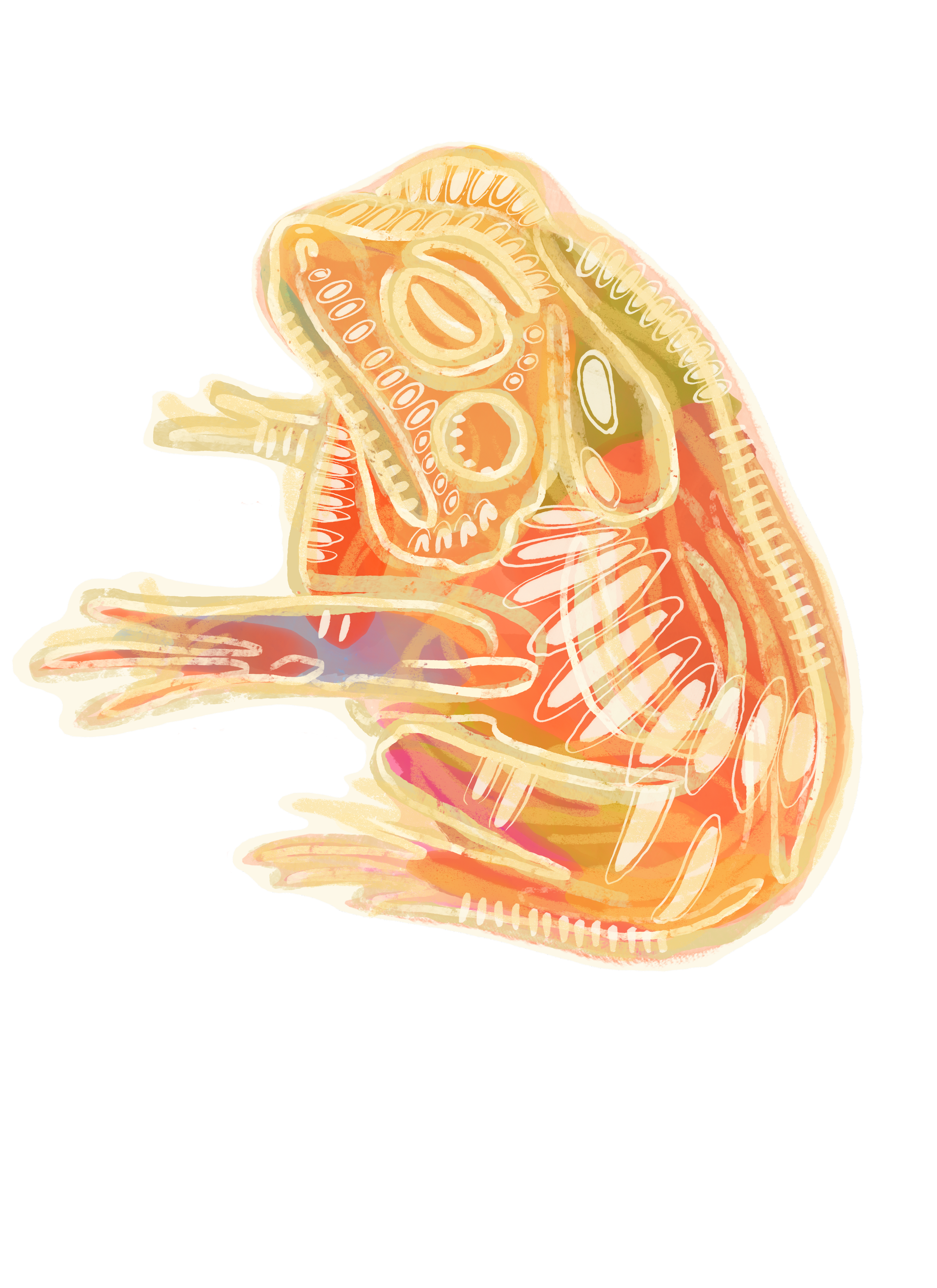 IMG_4490.png