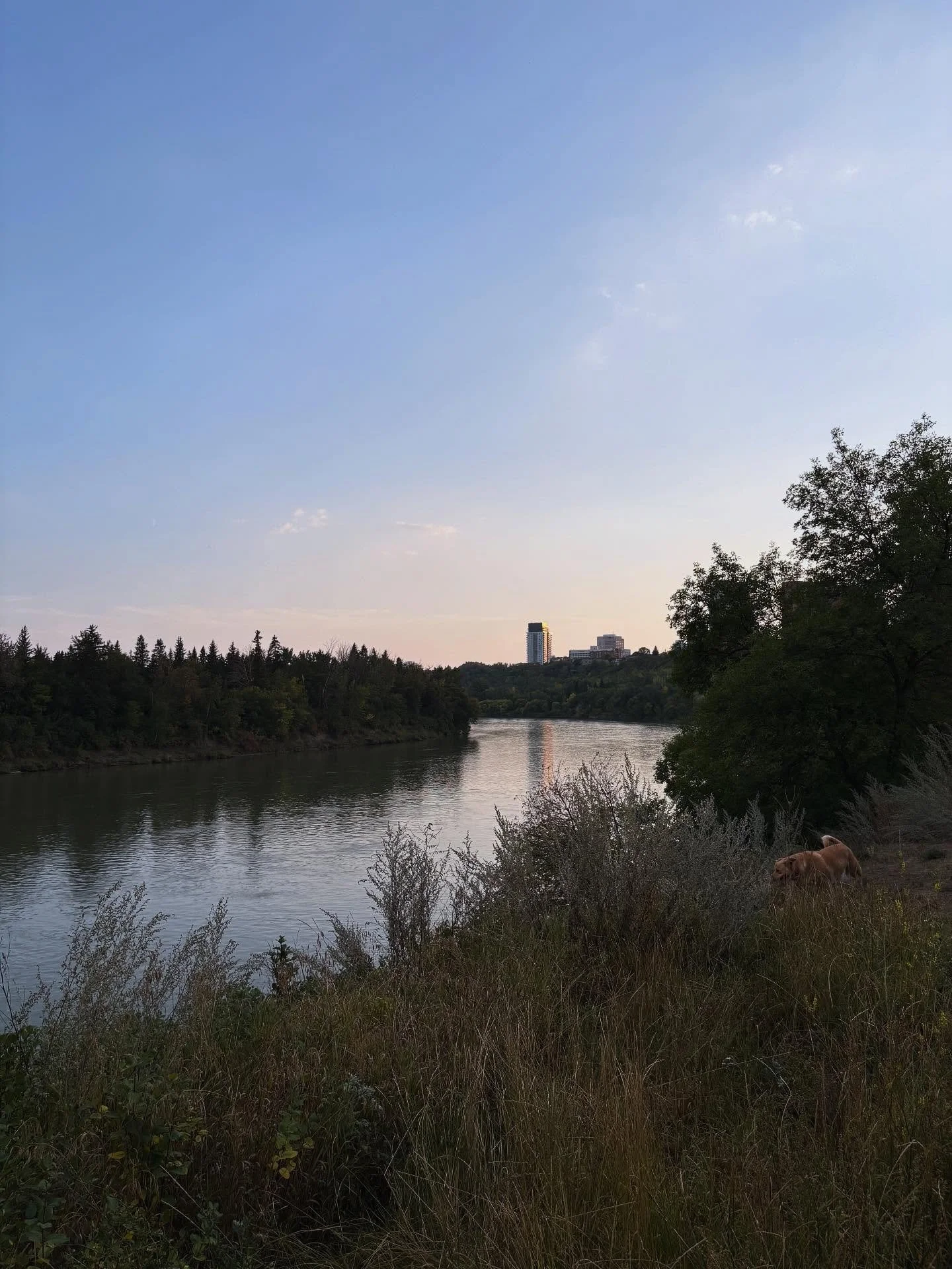 Staying healthy is easy when I get to take walks here. #yeg #yegsmallbusiness #stayactive #massagetherapist #getoutside