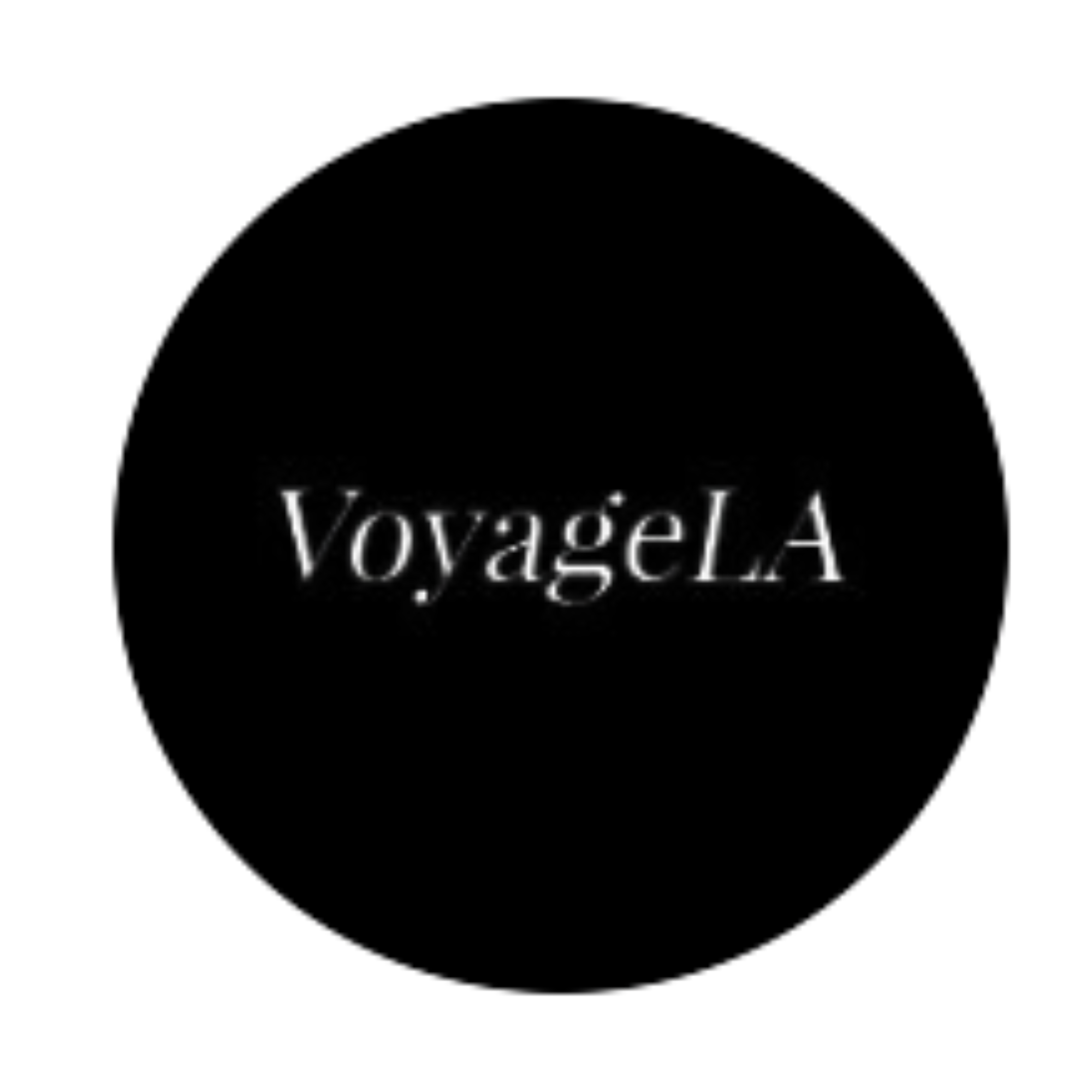 Black heart-shaped graphic with white text saying "VentureAI" in the center.