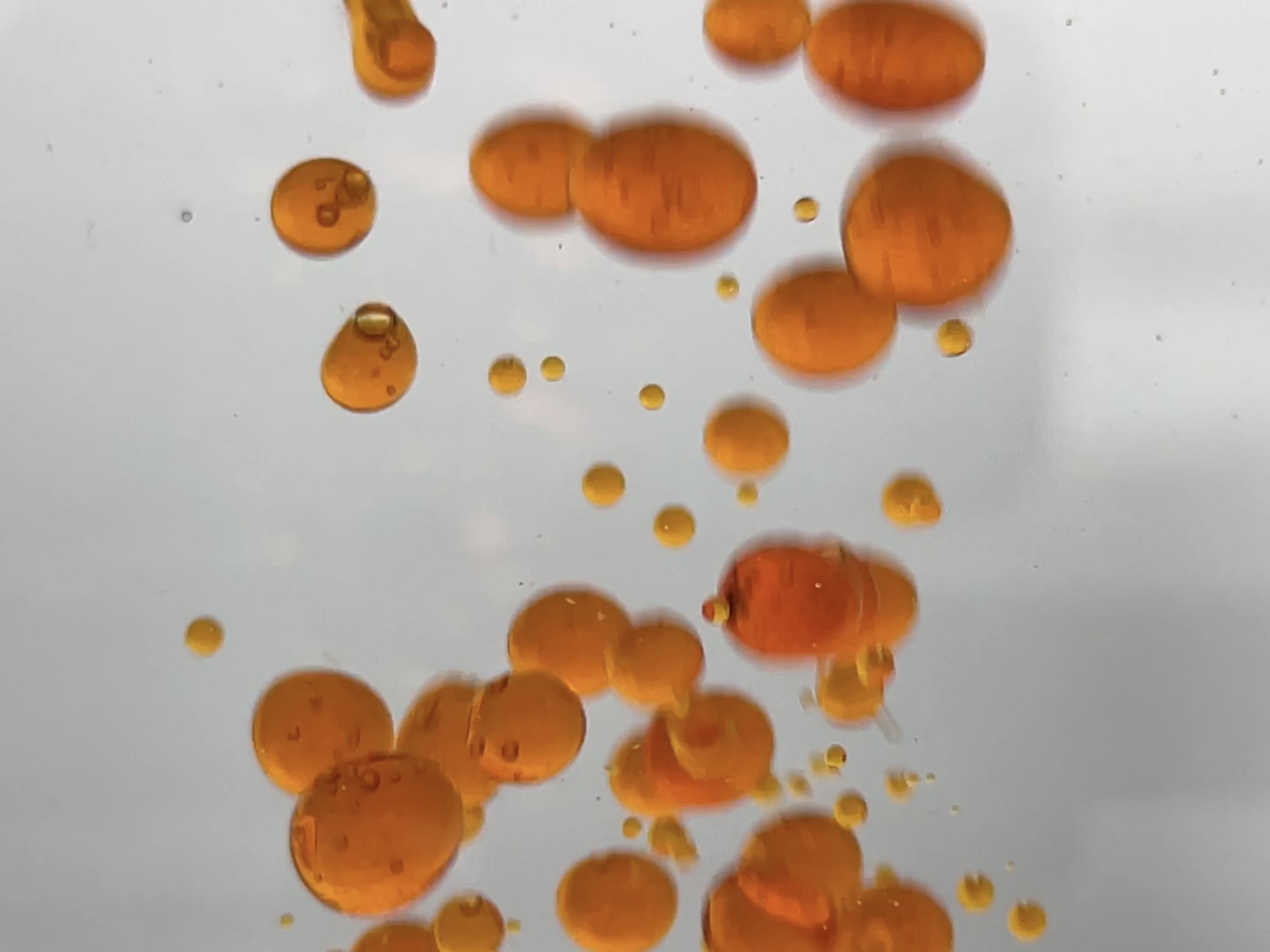 Oragnic orange bubbles float against a light grey background.