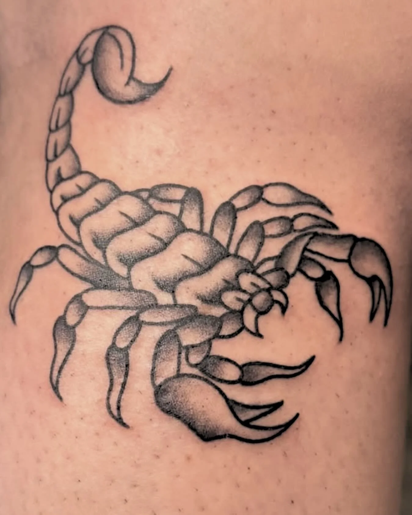 Crawled straight out of the desert and into the needle. 🦂

Scorpions symbolize protection, power, and transformation &mdash; or maybe it just looks sick. Either way, we&rsquo;re obsessed.

📸 @daltontattoos 

#AndromedaInk #SeattleTattooScene #Rento