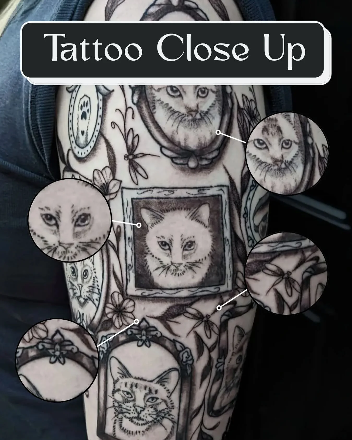 A shrine of whiskers, memories, and tiny toe beans. 🐱🐾

This sleeve is a full-blown tribute to the feline companions who leave paw prints on our skin and our hearts.

📸 @ezzy.arttt 

#AndromedaInk #SeattleTattooScene #RentonTattoo #RentonTattooSho
