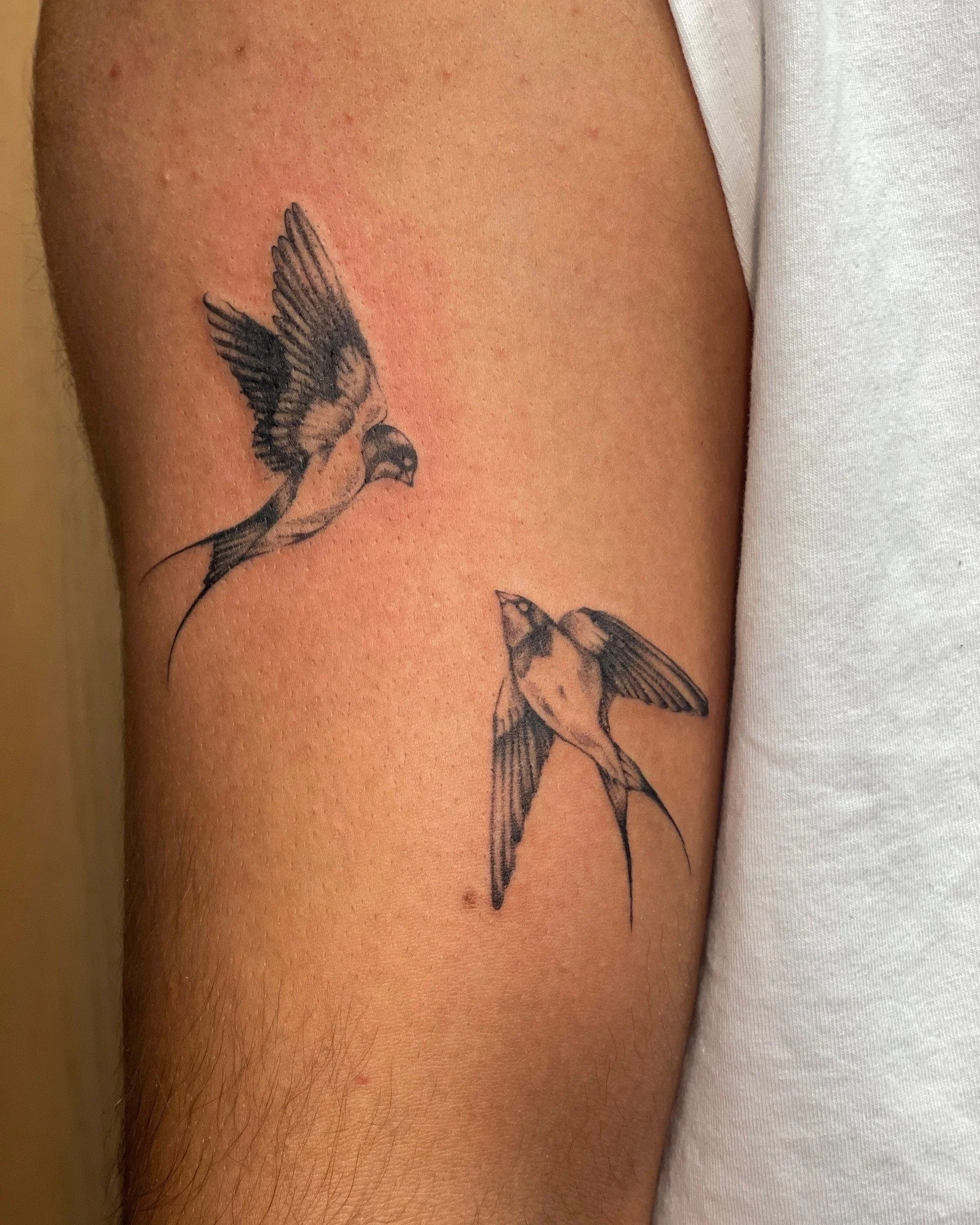 Two swallows in black and grey&mdash;timeless, steady, and always finding their way home.

A classic for a reason: movement, loyalty, and a story that never goes out of style.

Tattoo by Diego! @diegoart.tattoo 

 #blackandgreytattoo #tattoolife #cre