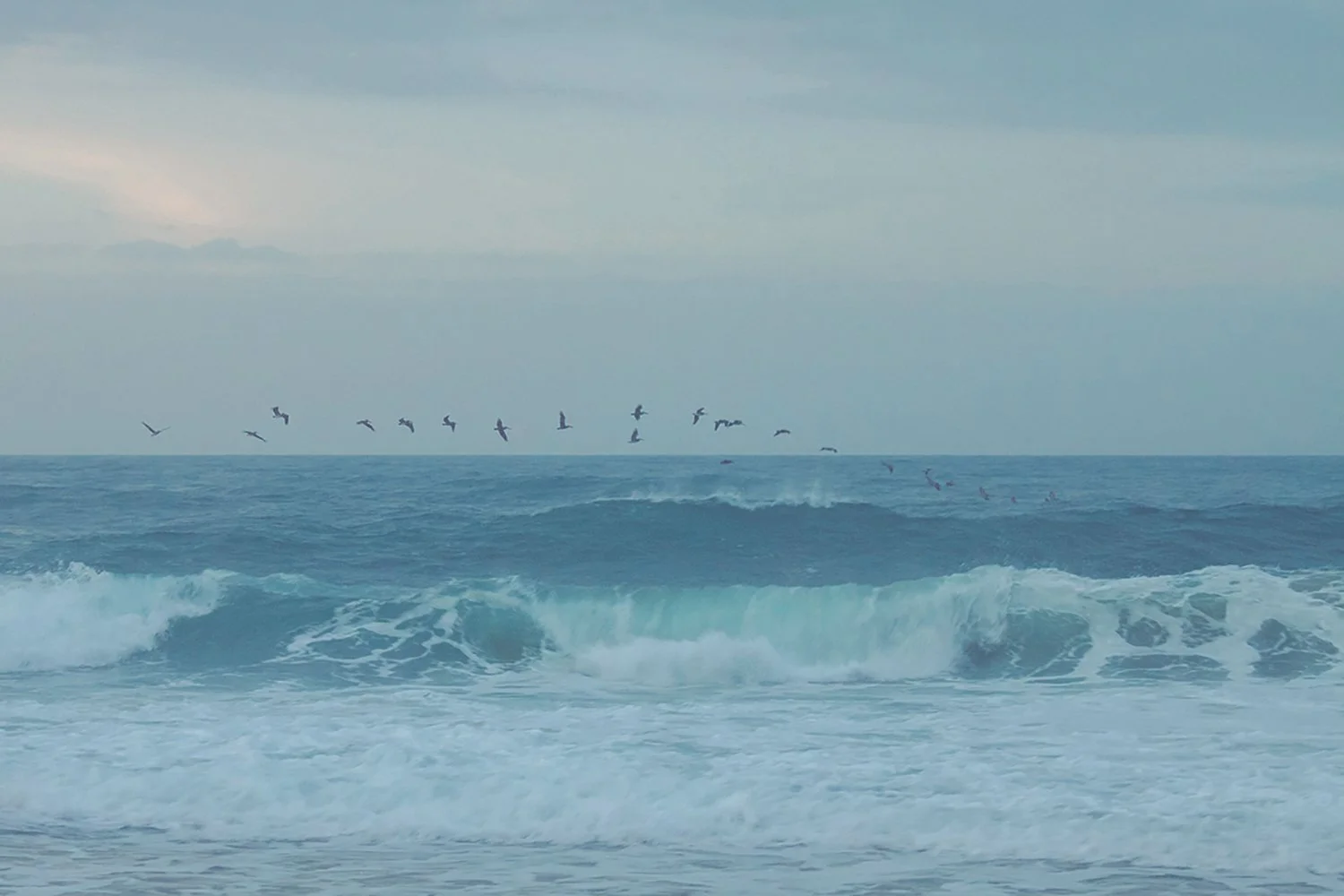 Playa LosAngeles SMR-70.jpg