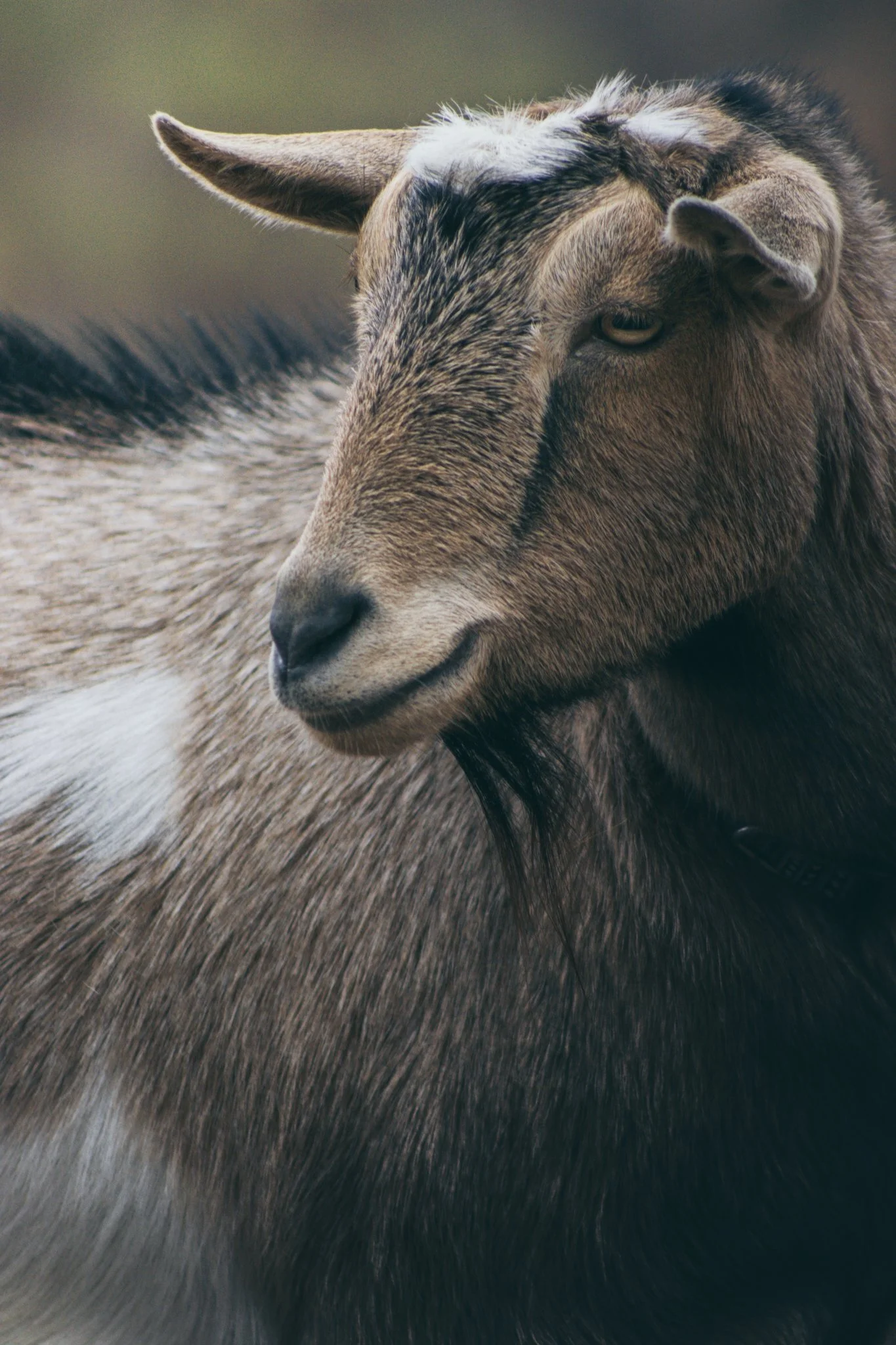 FARM SANFORD-209.jpg