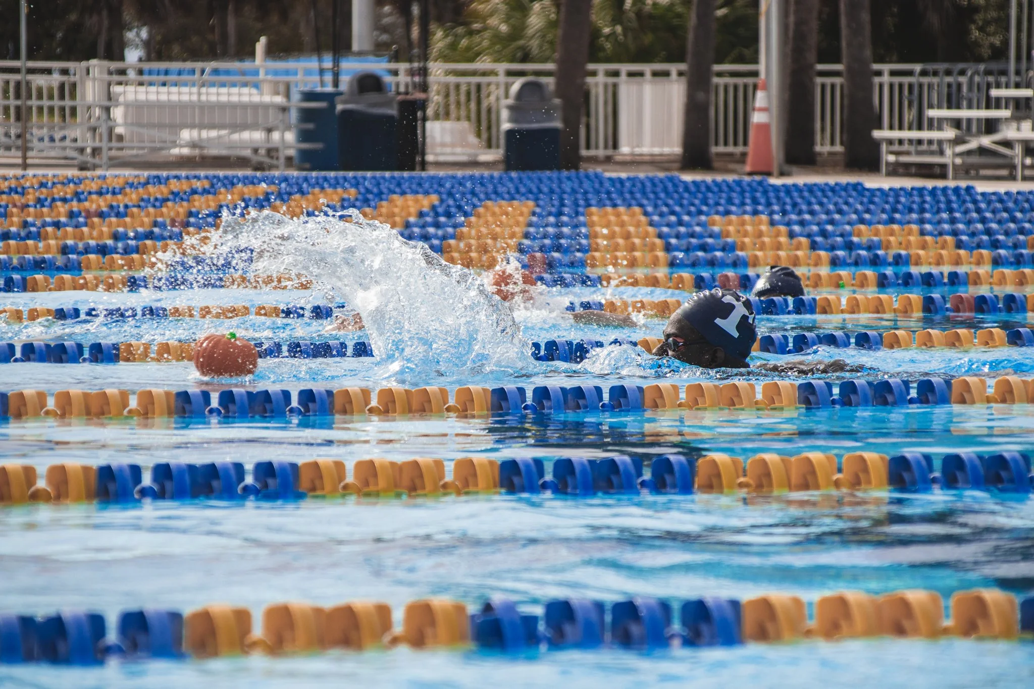 SWIMTEAM TARAVELA-23.jpg