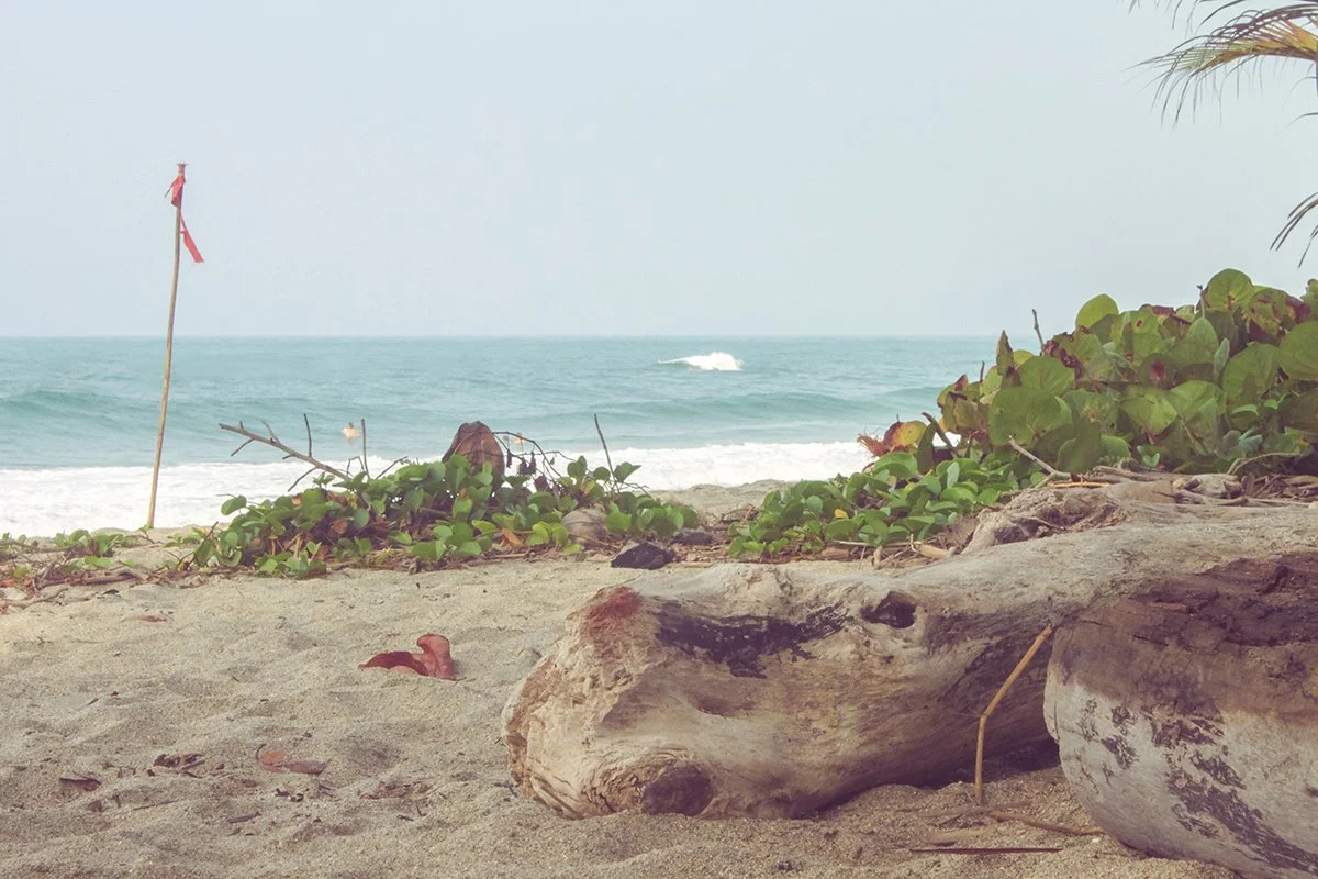 Playa LosAngeles SMR-68.jpg