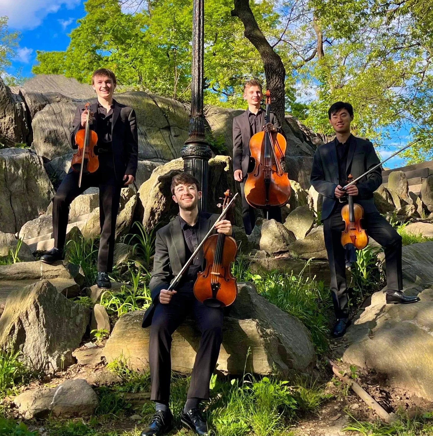 The Dolphins Quartet: a Well-Being Concert