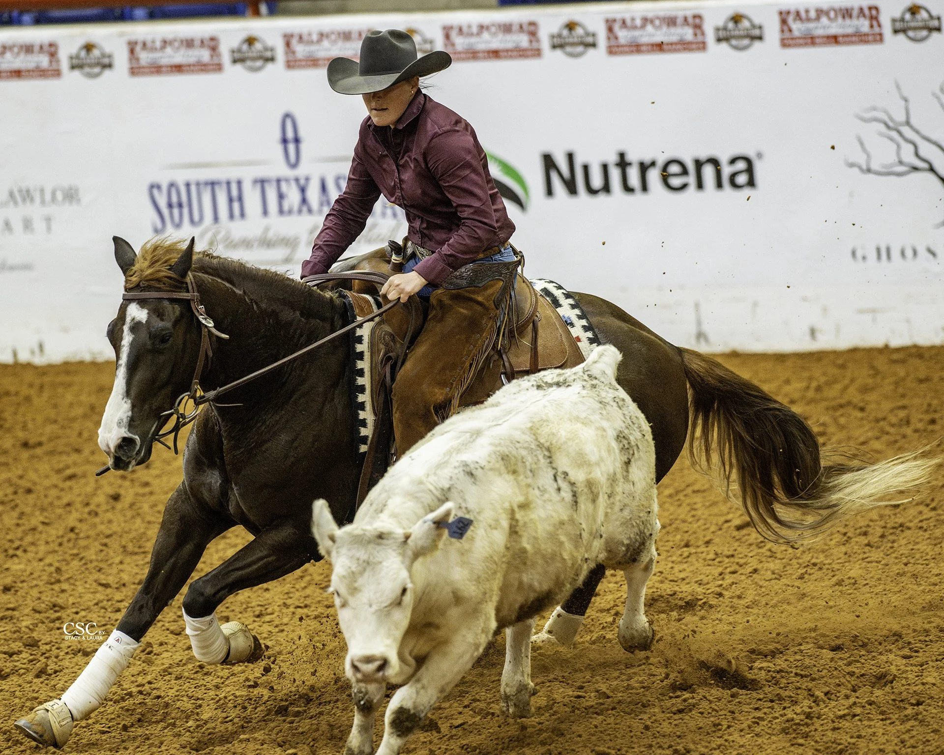 WEB-FWT_2219_VE AUTUMN EMPIRE_DERBY COW_WGH REIN-FW25 CofC-WGH-TOD-.jpg