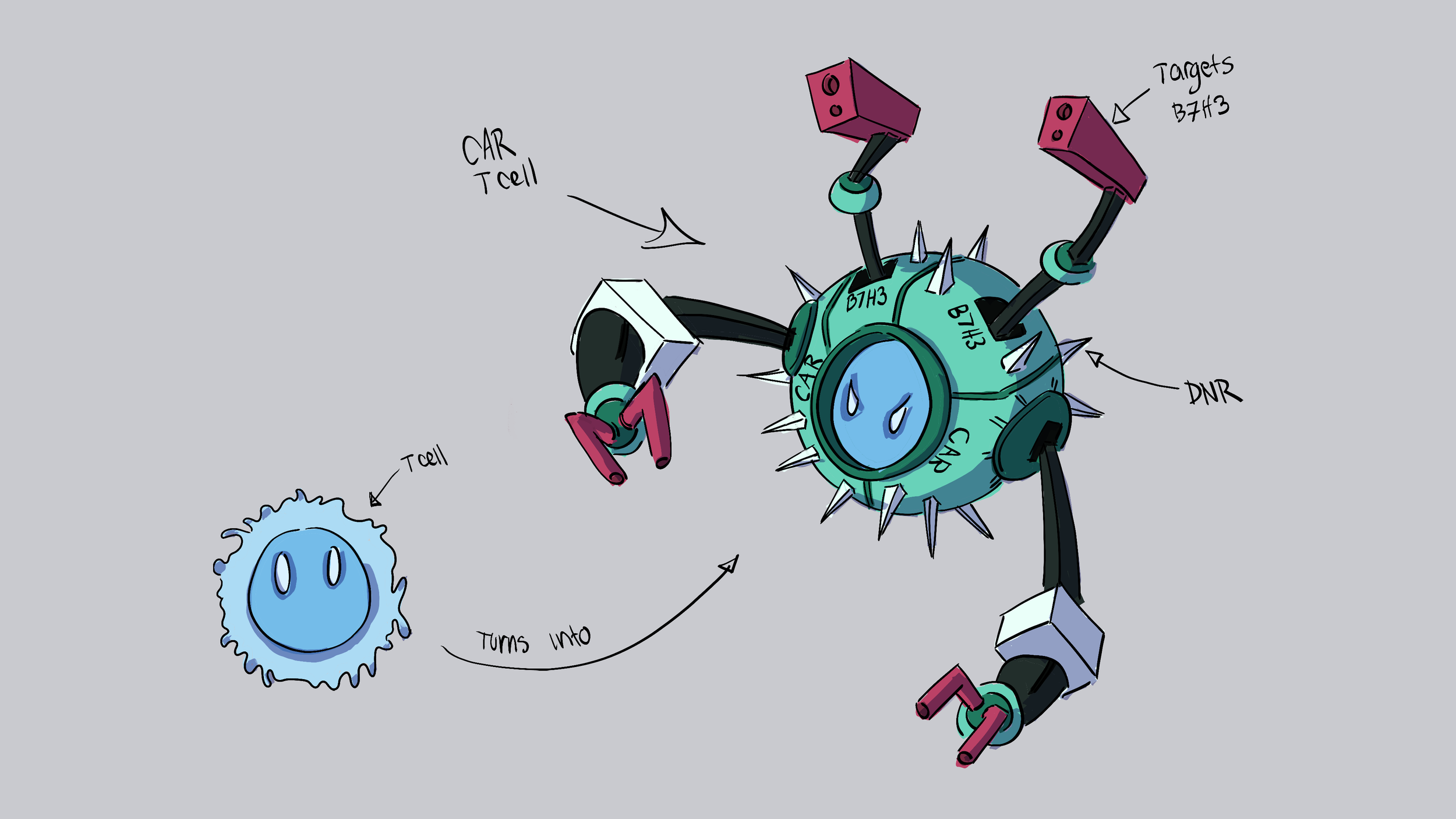 CAR t cell concept art copy.png