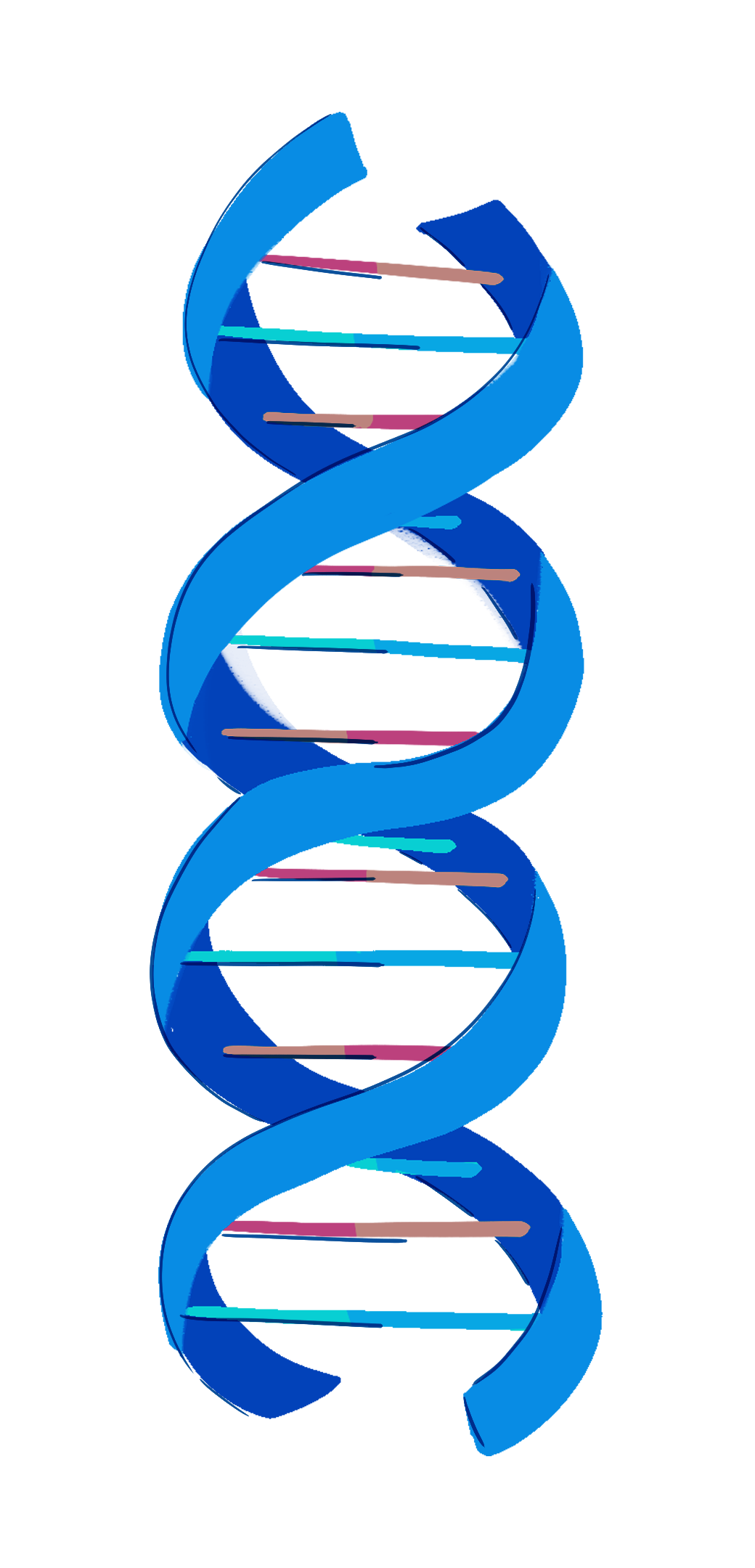 DNA