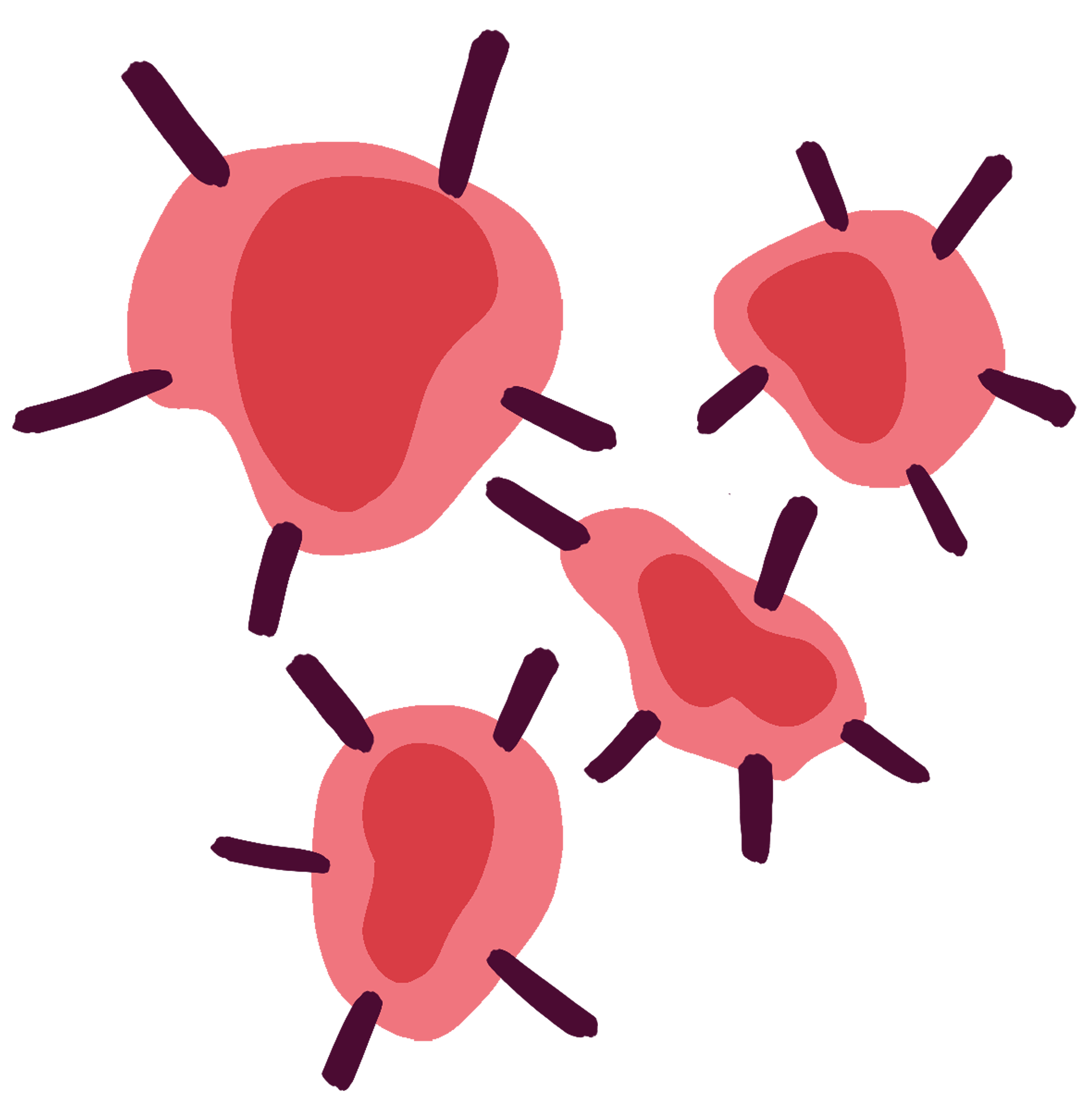 tumor microenvironment copy.png