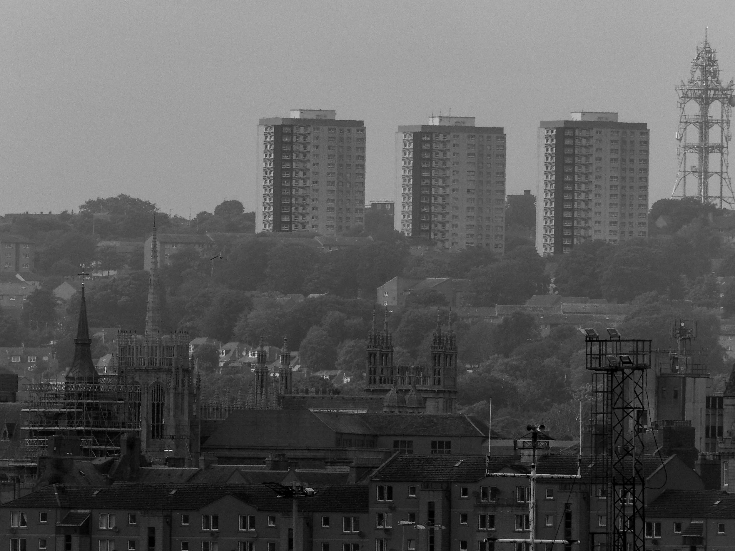 P1014538.jpg