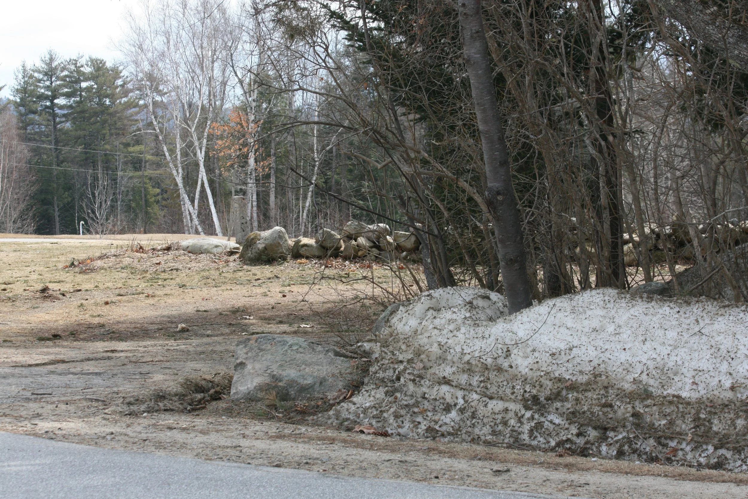 IMG_70731.jpg