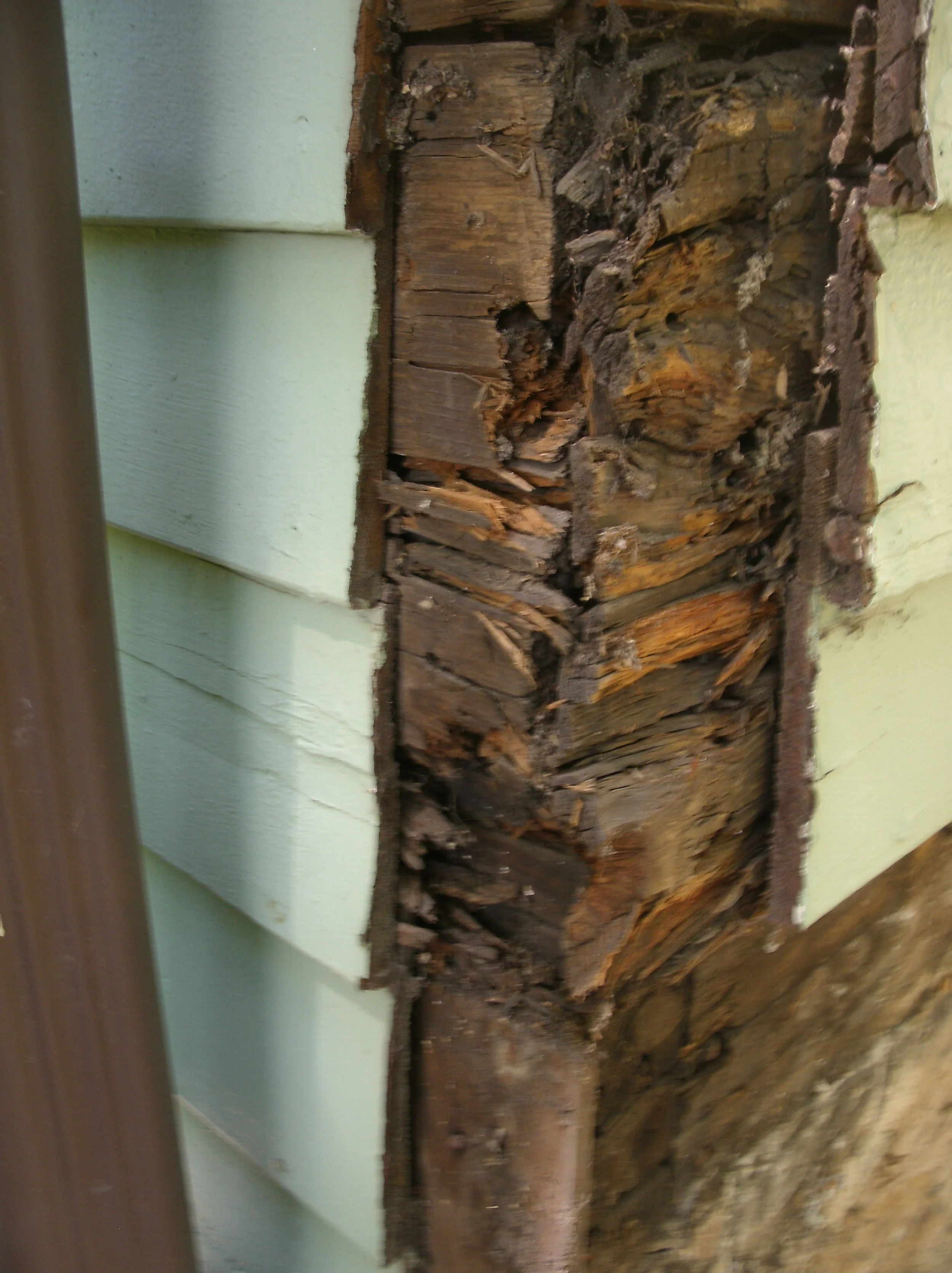 Another view of the sheathing, drip edge, and trim installed.