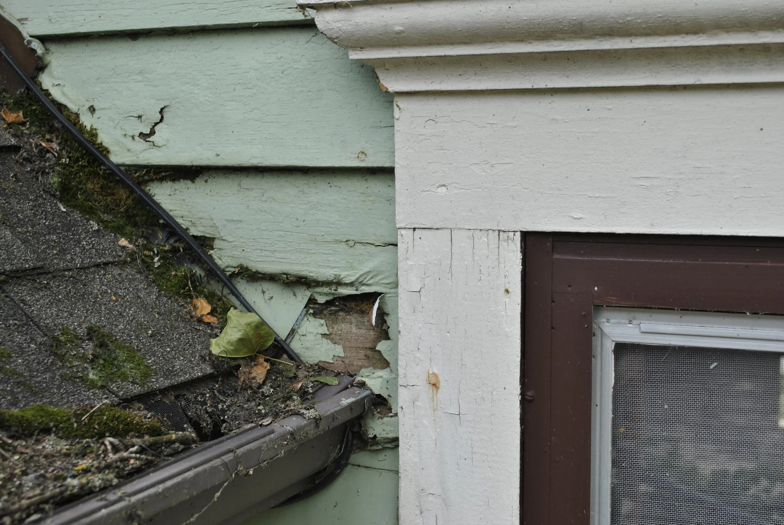 There was no flashing behind the siding and the water would just shoot off and hit the window, causing the rot in this window.
