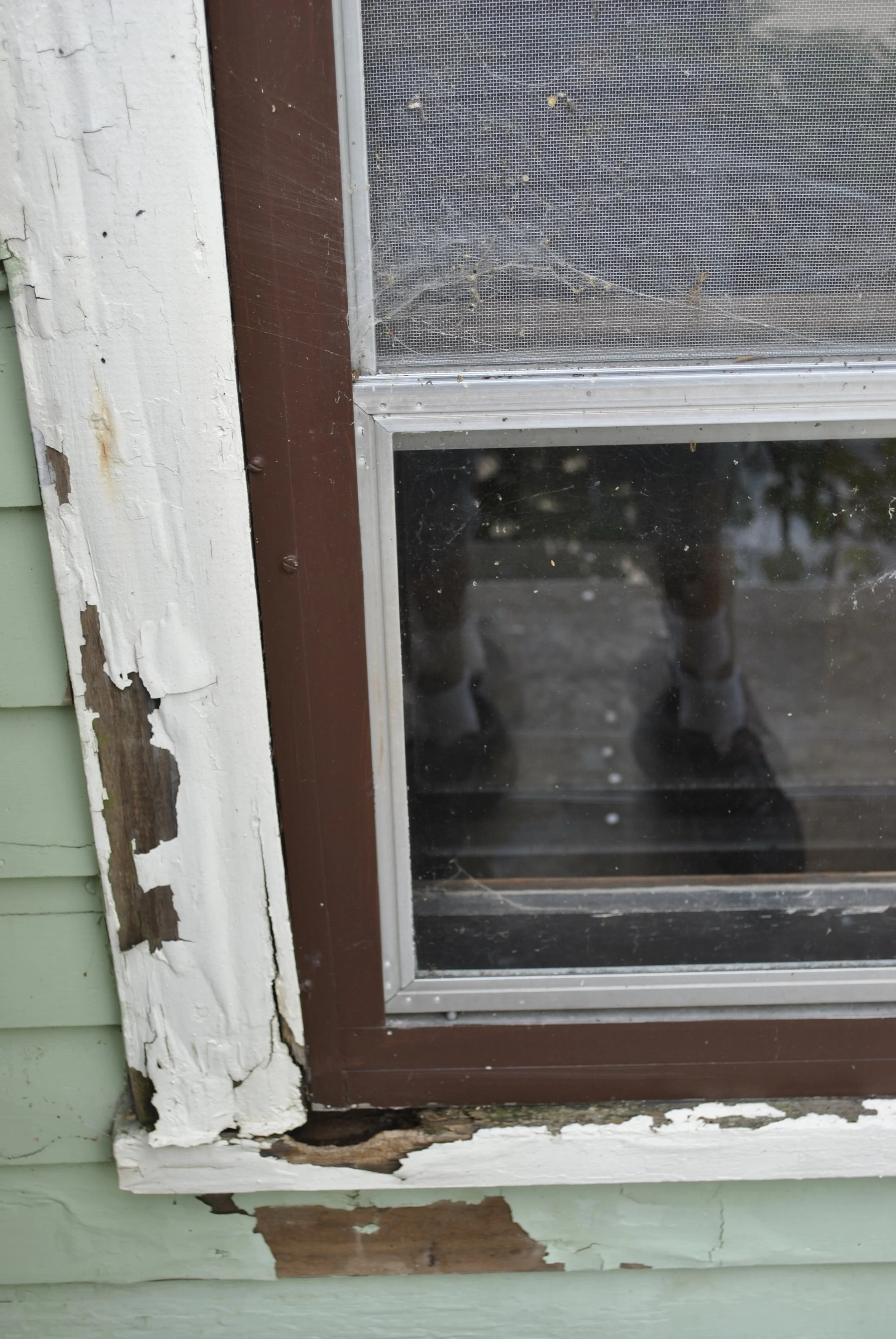 Another icky view of the damaged wood. 