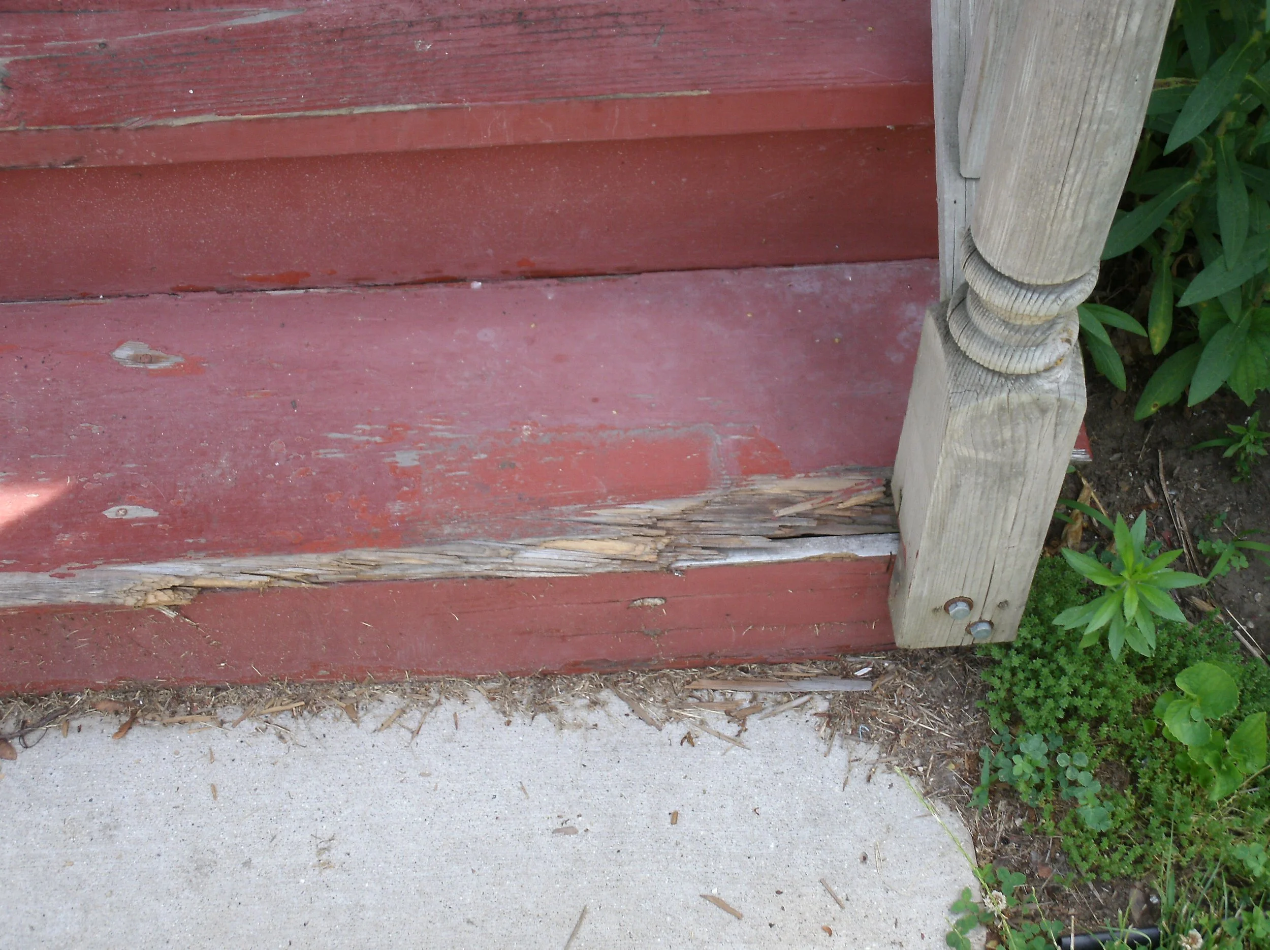 Rotted front stairs tread. Examination uncovered extensive damage. 