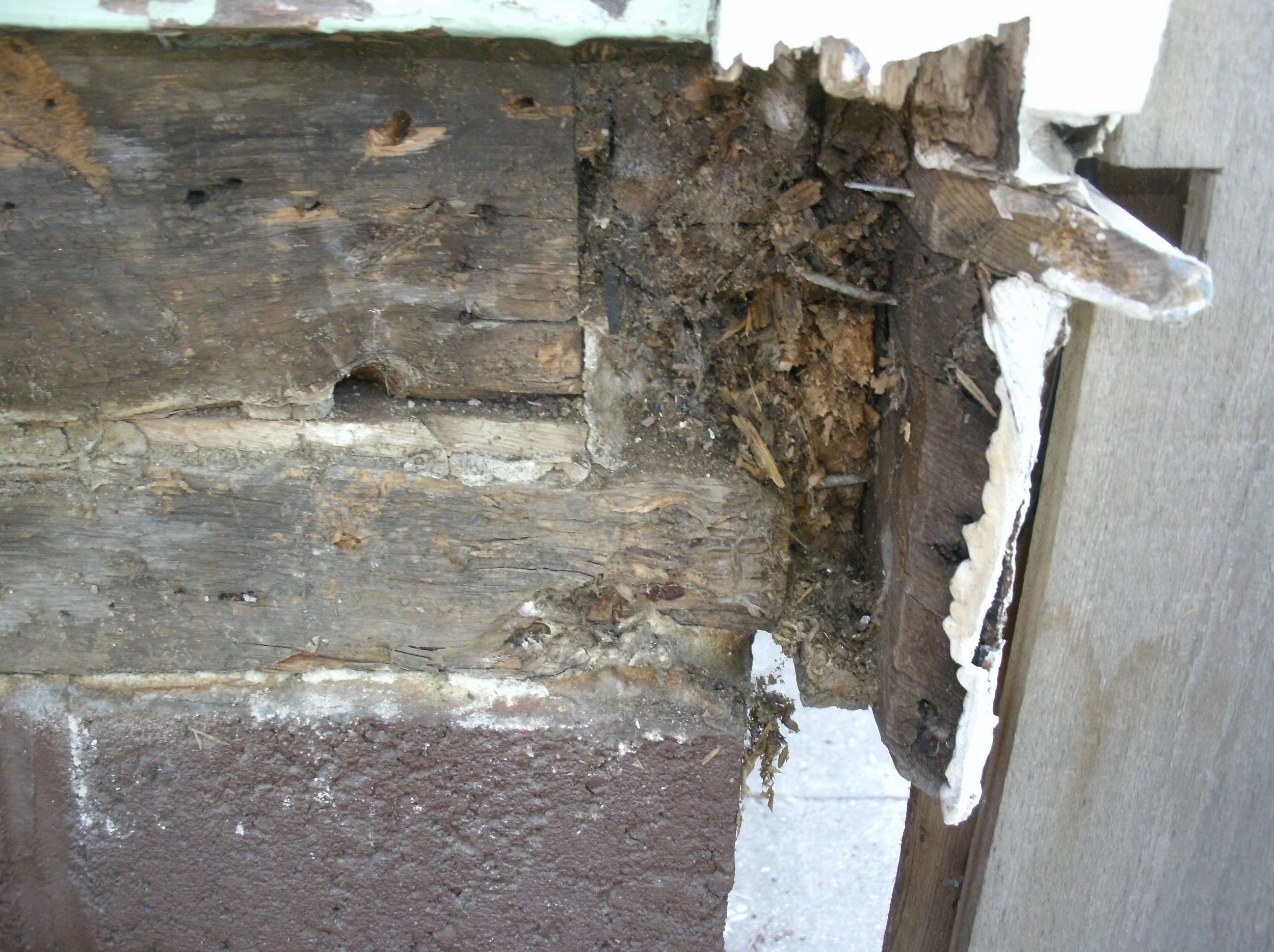 Typical of the rot I replaced. Structural members and drip edge, facia, etc.