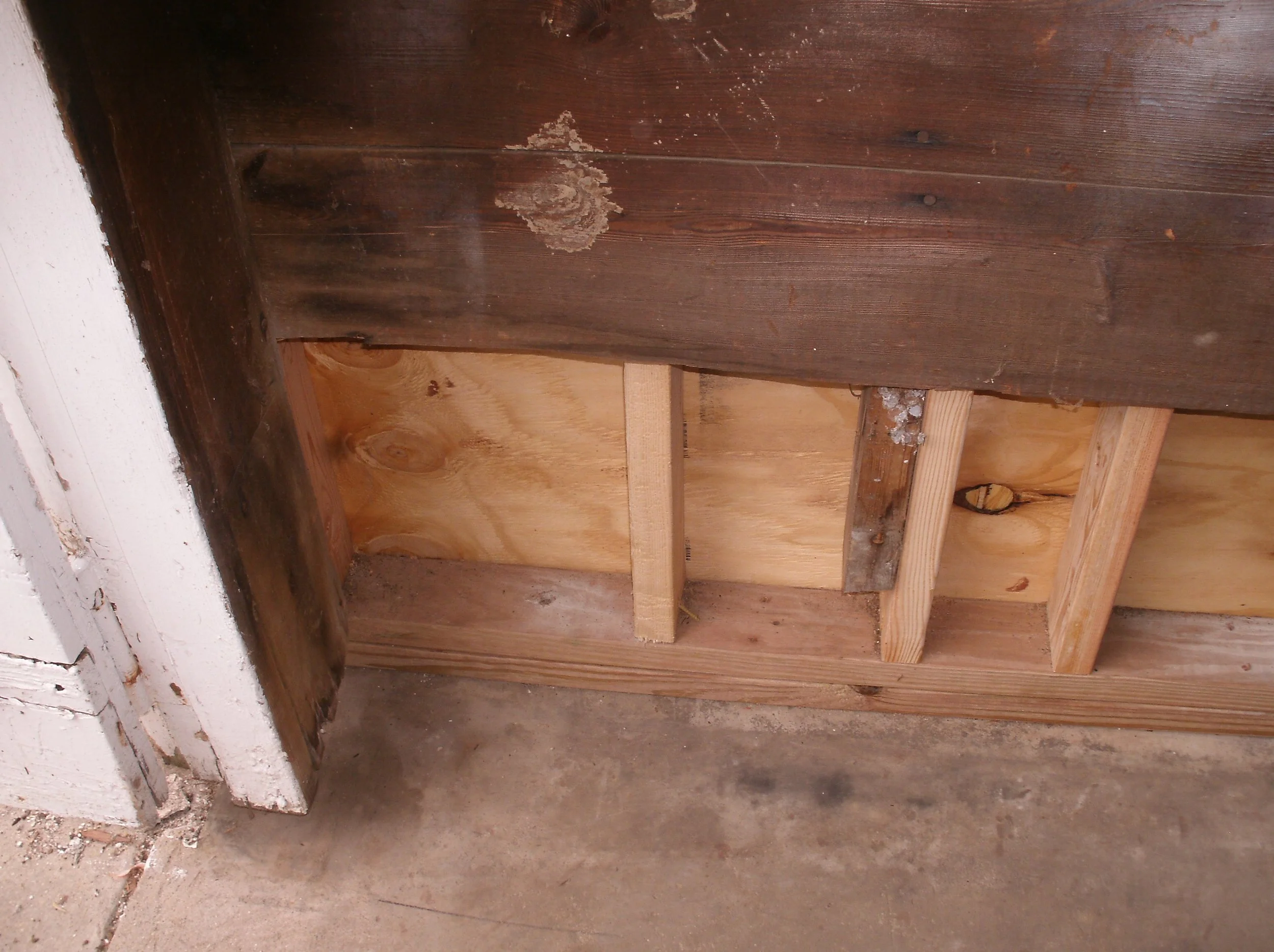  The right hand wall with new treated bottom plate, studs and plywood sheathing