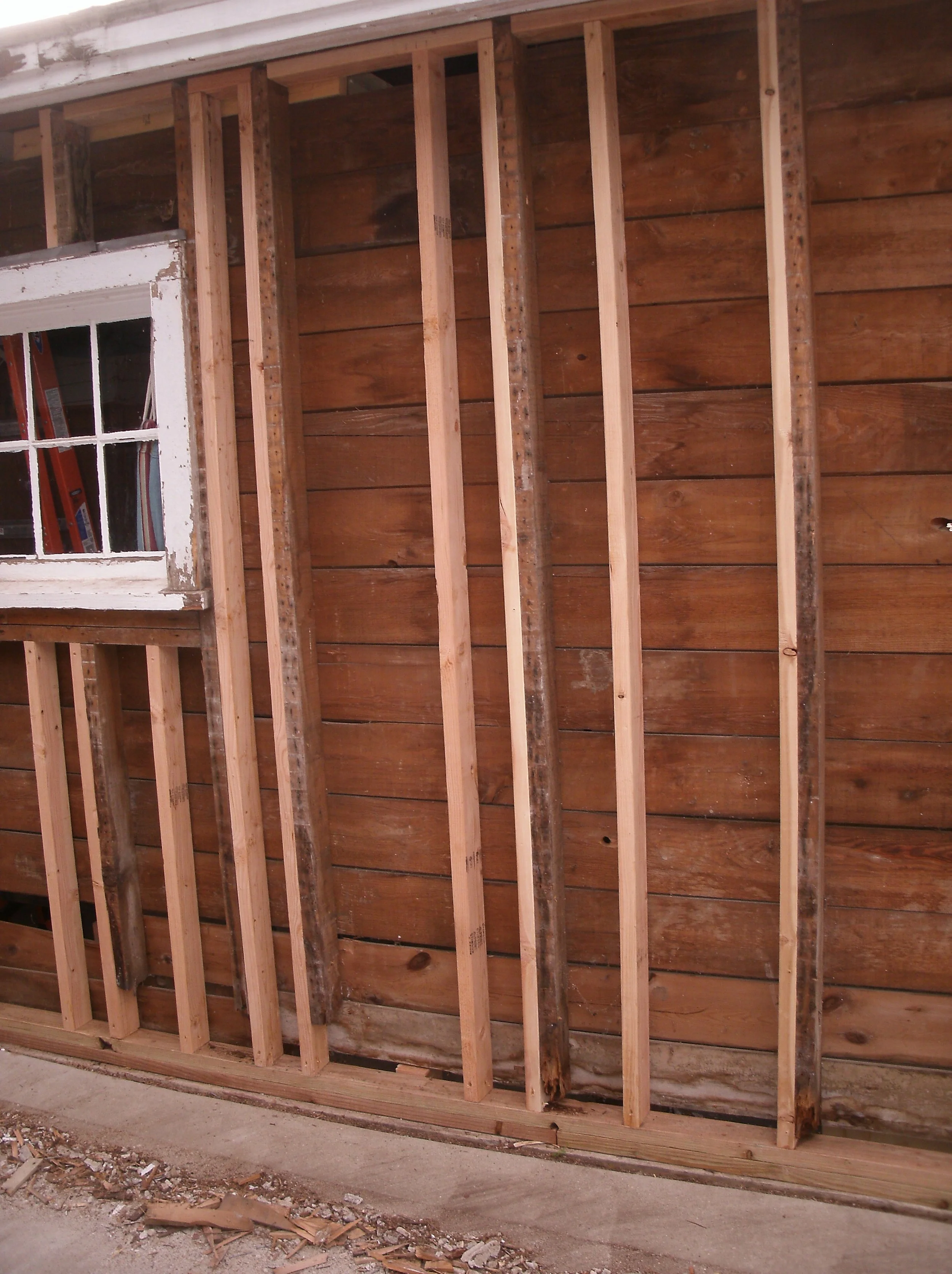 The right wall, which was less rotted with augmenting studs added