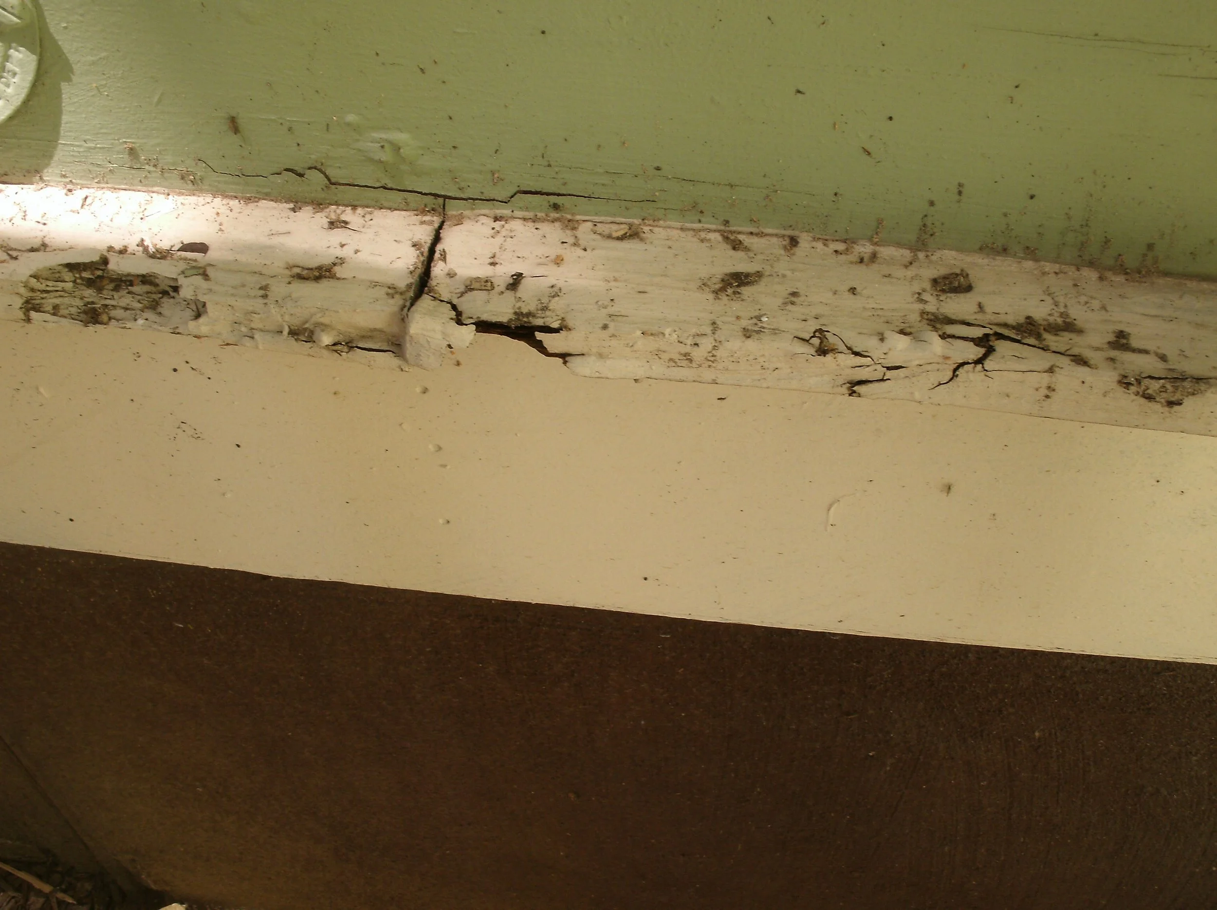 Close-up of a damaged wooden door frame with peeling white paint, cracks, and rot near green and beige walls.