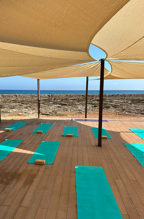 Screenshot 2025-03-11 at 5.40.15 PM.png