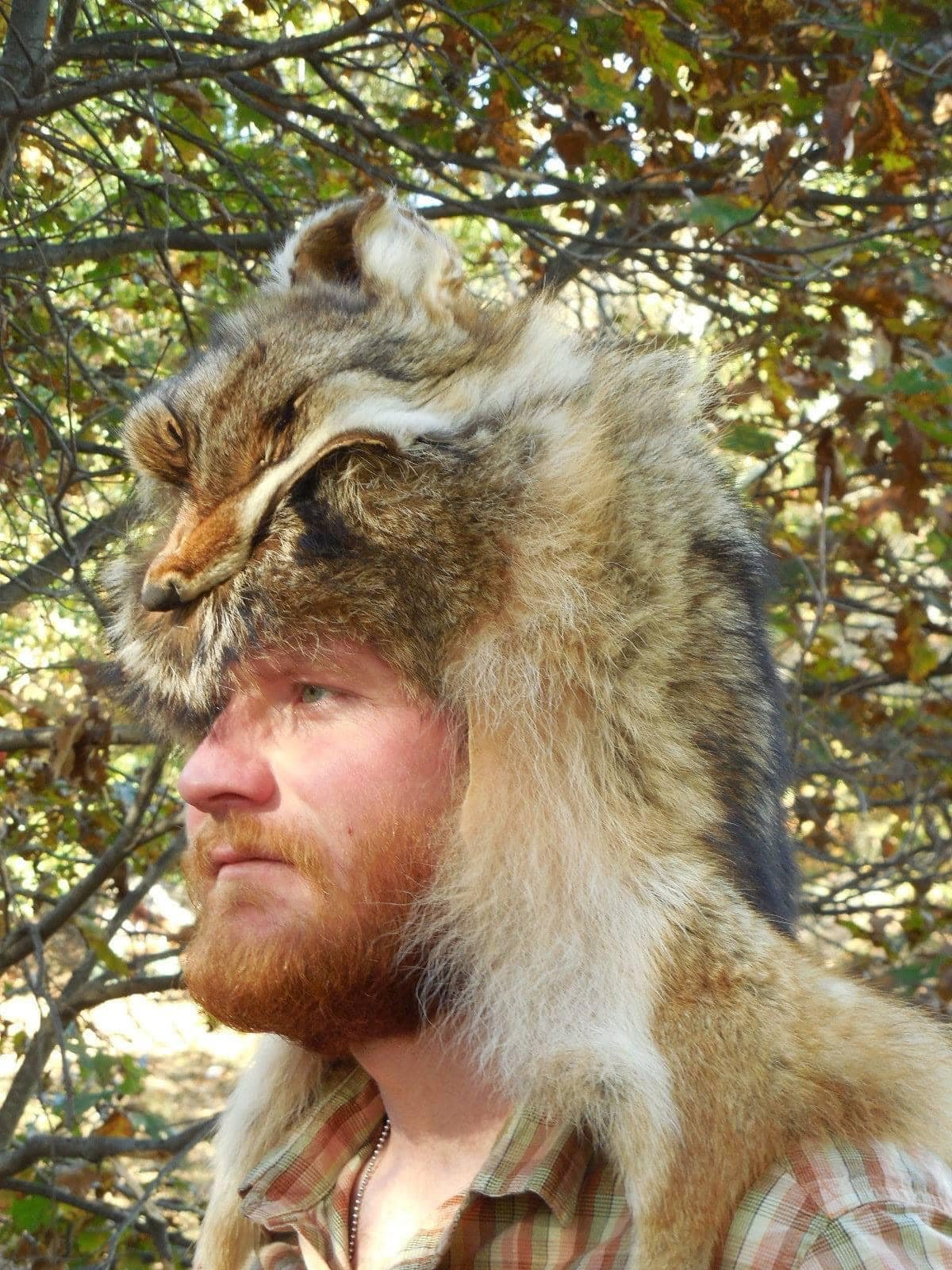 coyote.jpg