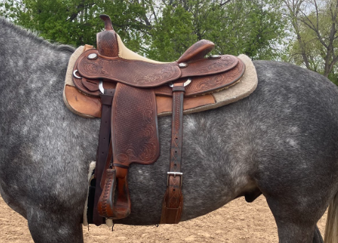 Saddle Fit &amp; Pulled Wool Pads