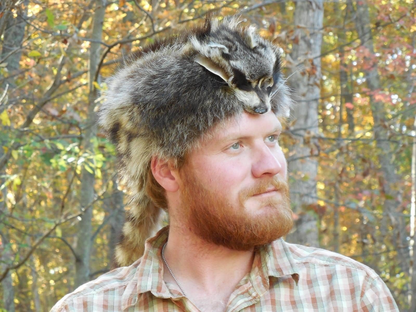 coonskin.jpg