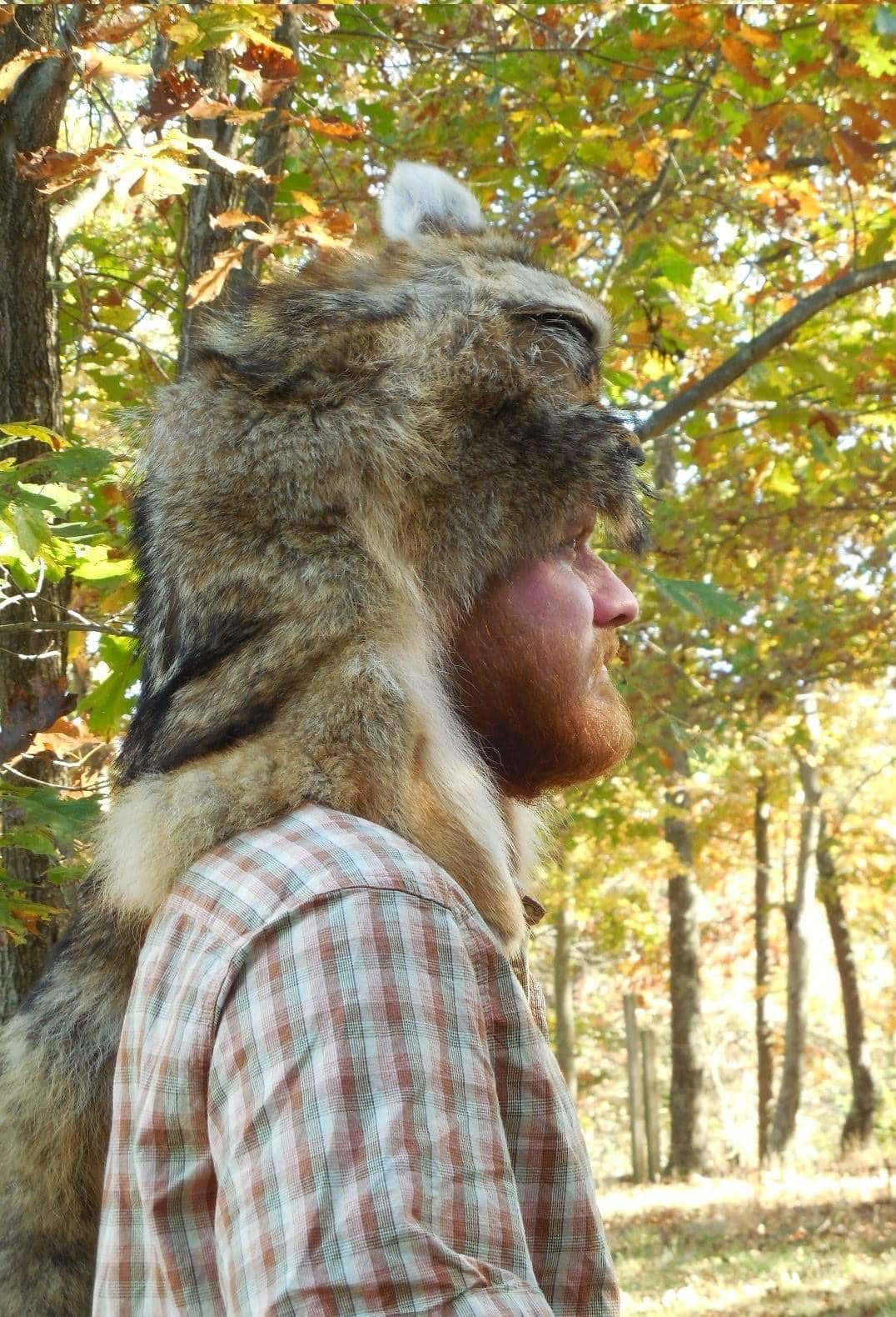 coyote2.jpg