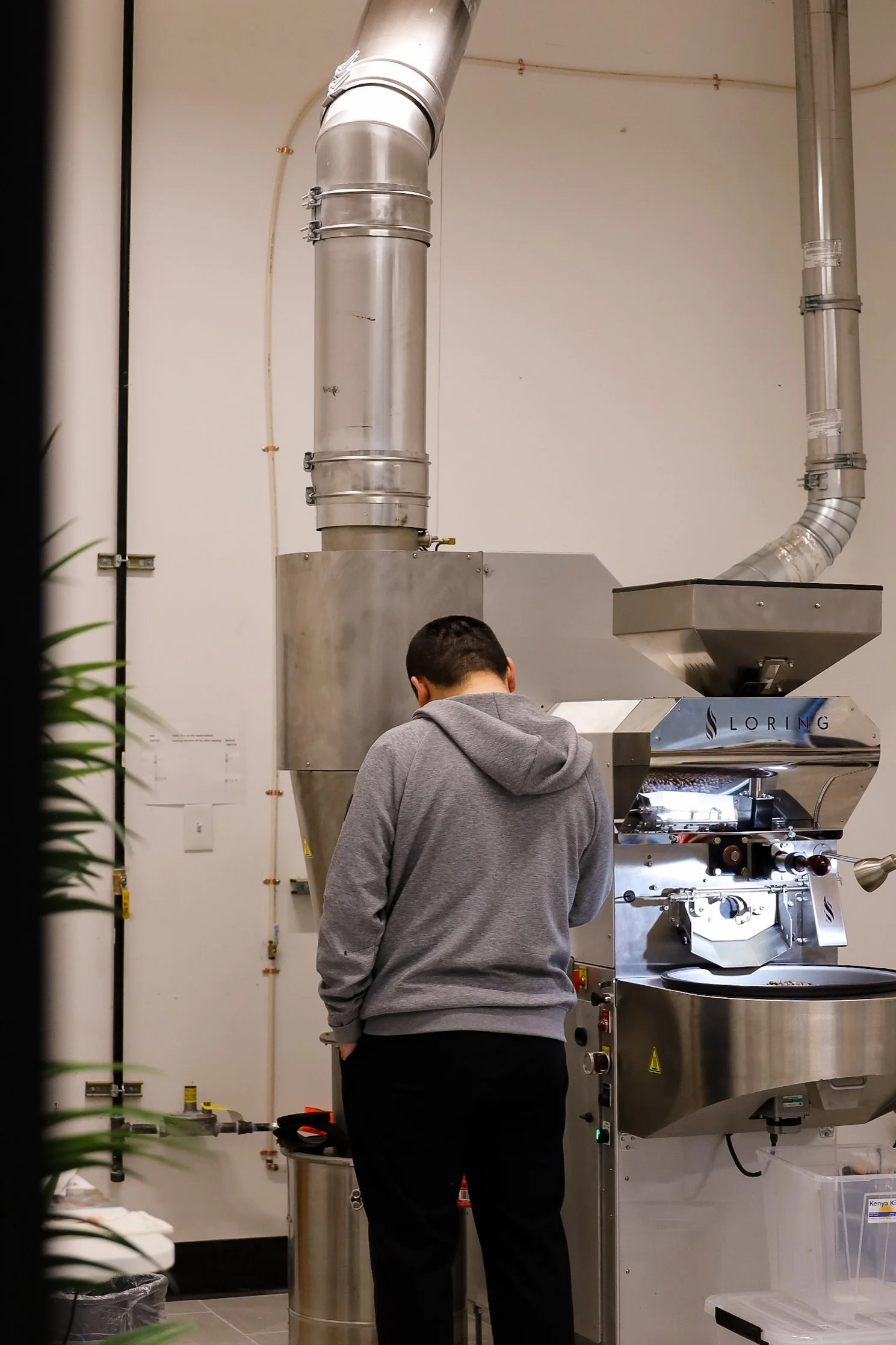 Person operating a coffee roasting machine.