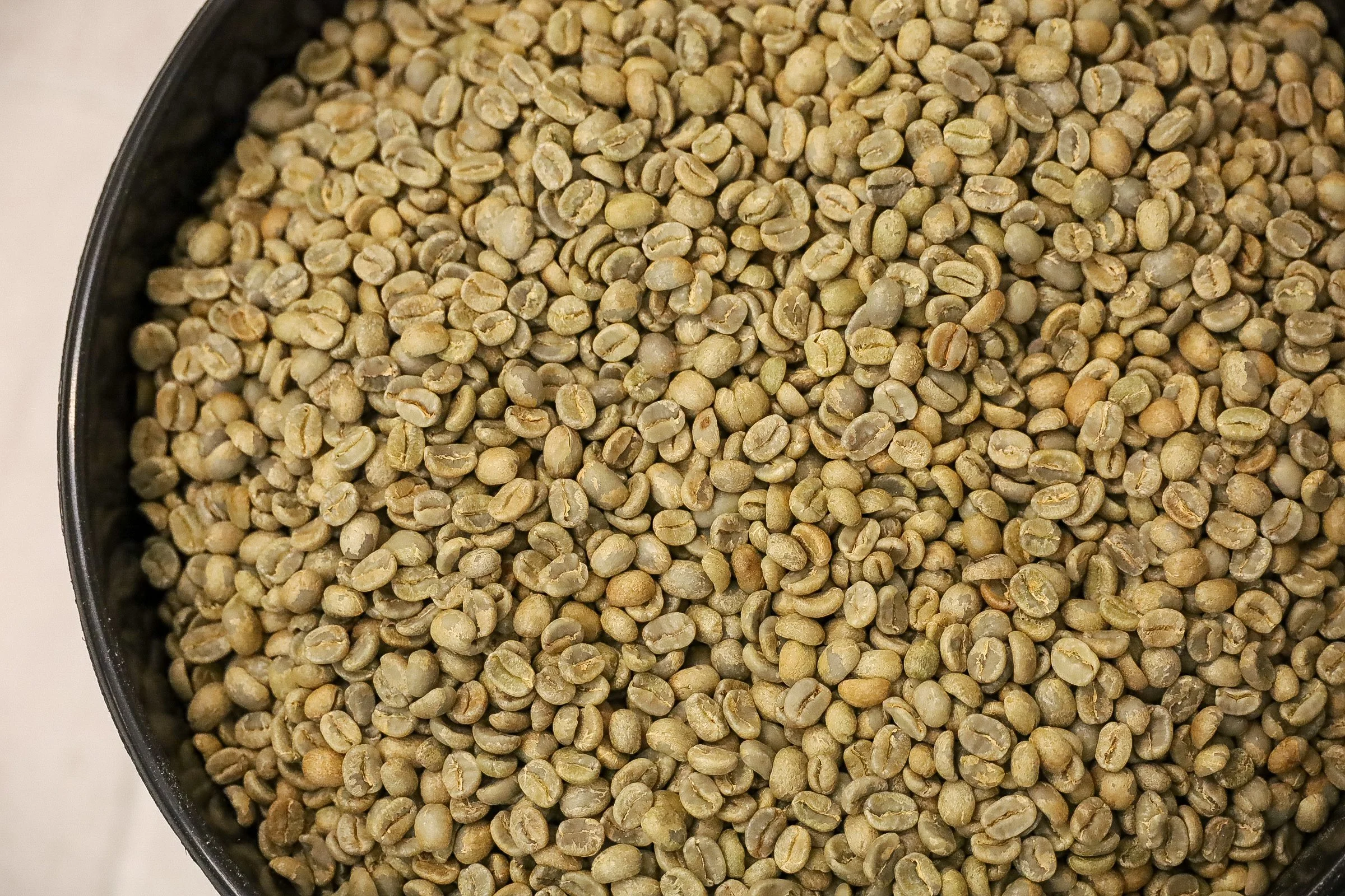 Raw unroasted green coffee beans in a container.