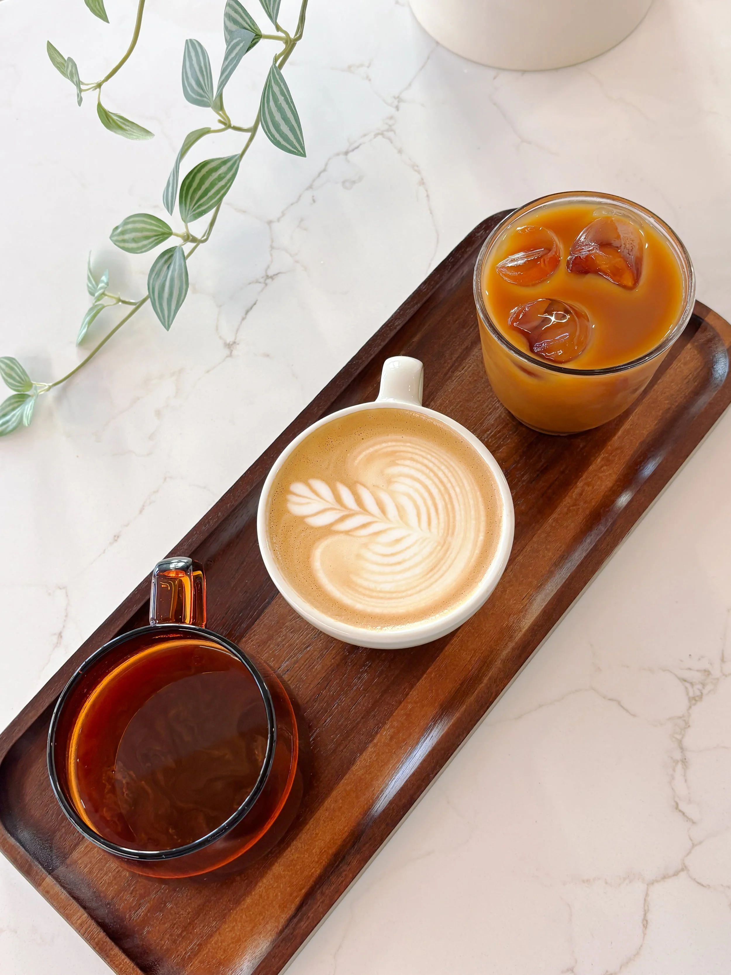 A wooden tray with three different coffee drinks: a cup of black coffee, a cup of latte with latte art, and a glass of iced coffee with milk. A plant with green leaves is visible on the table.
