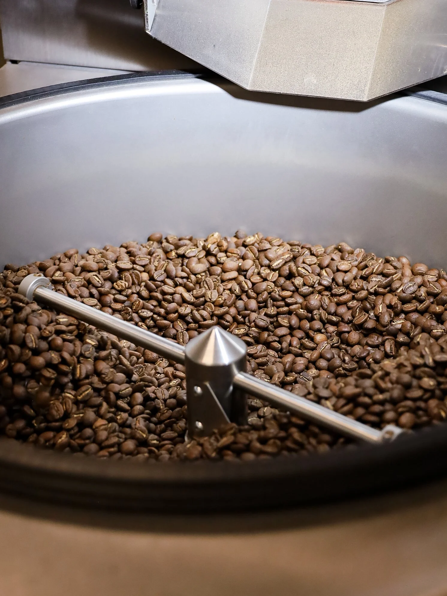 Roasted coffee beans in metal cooling tray