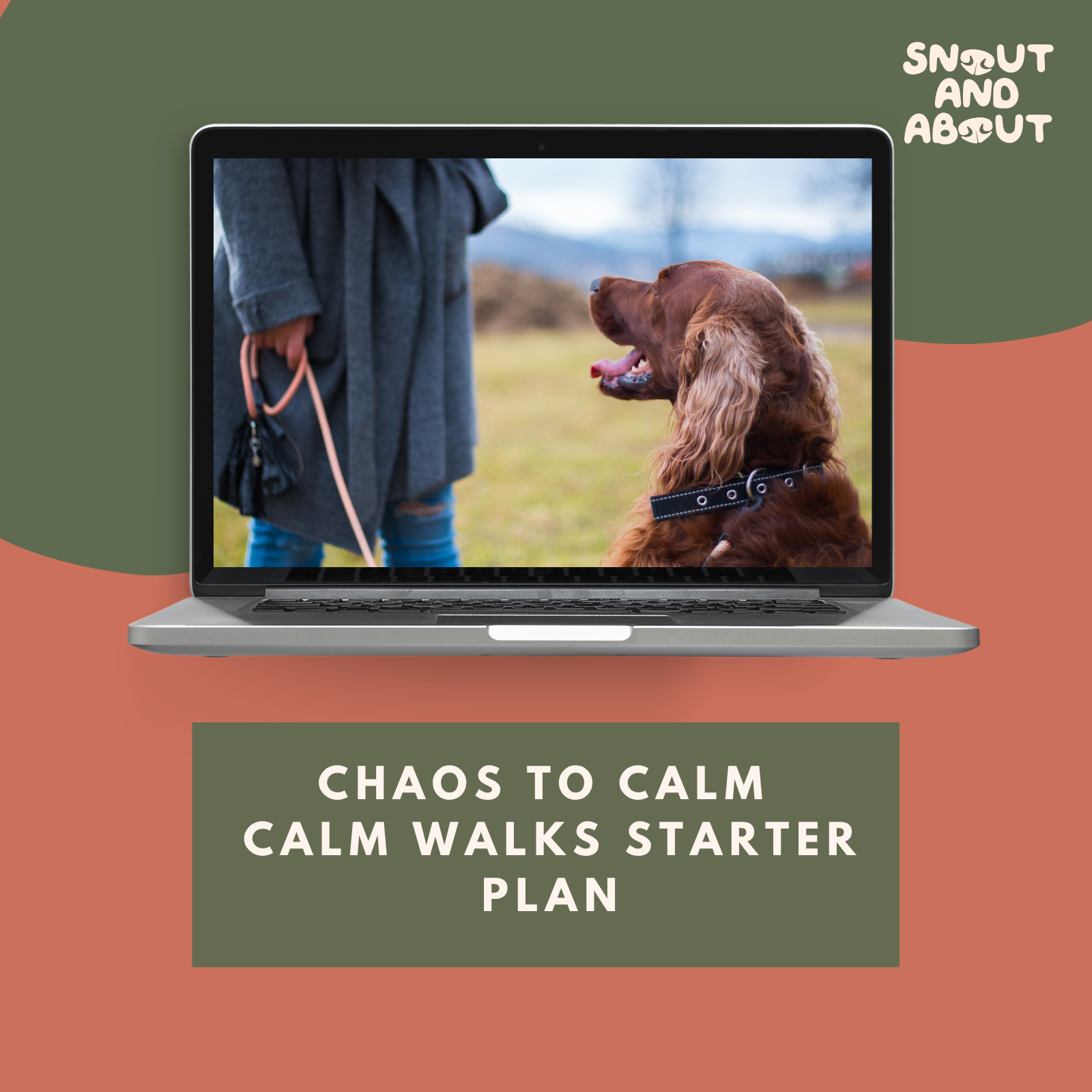 Calm Walks Starter Plan